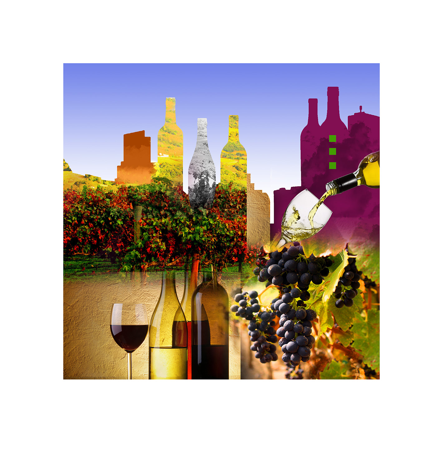 Paesaggio del Vino SQ2 - LI100_SQ2