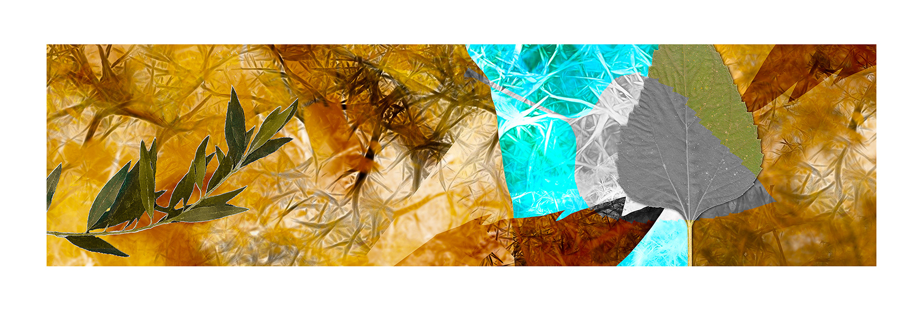 Macro Leaf H1 - NA100_H1