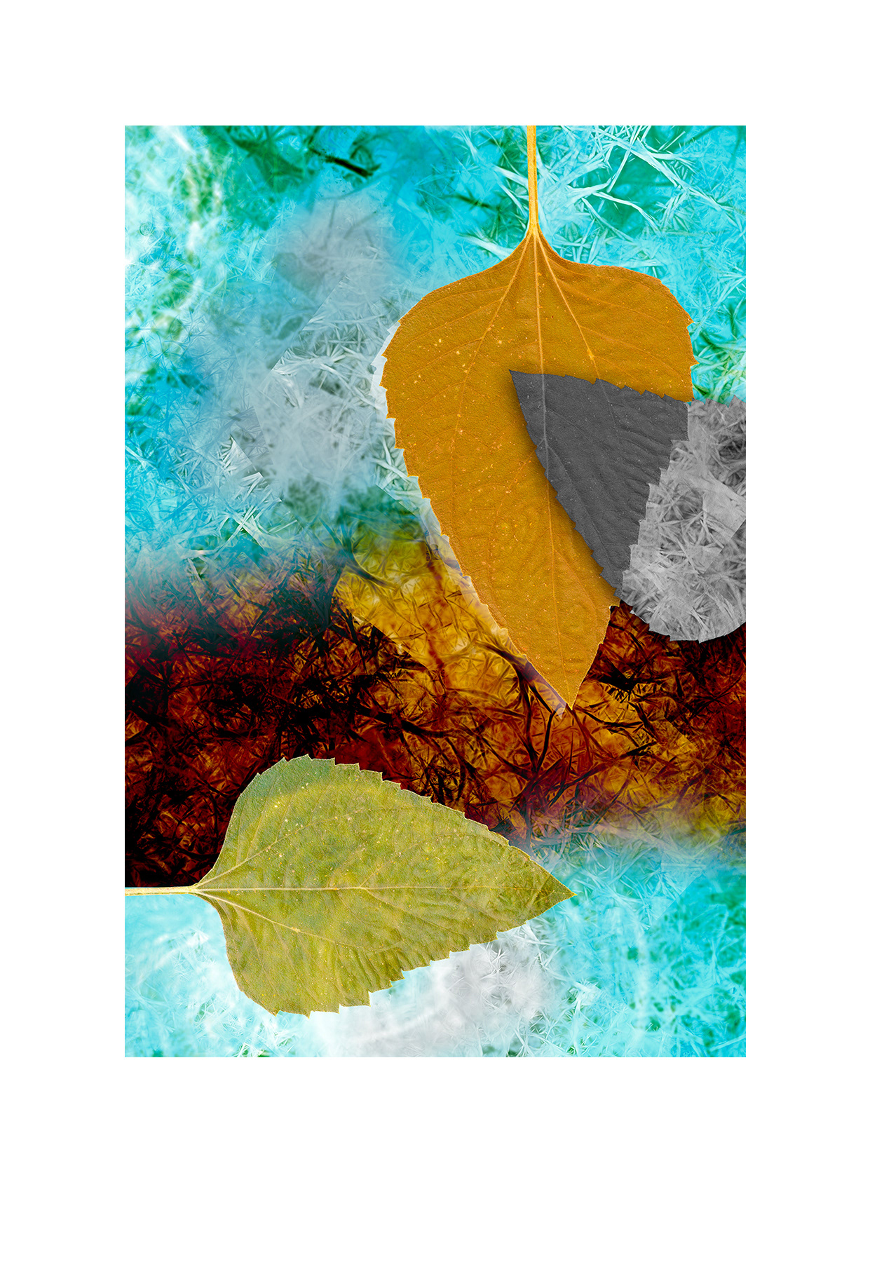 Macro Leaf V1 - NA100_V1