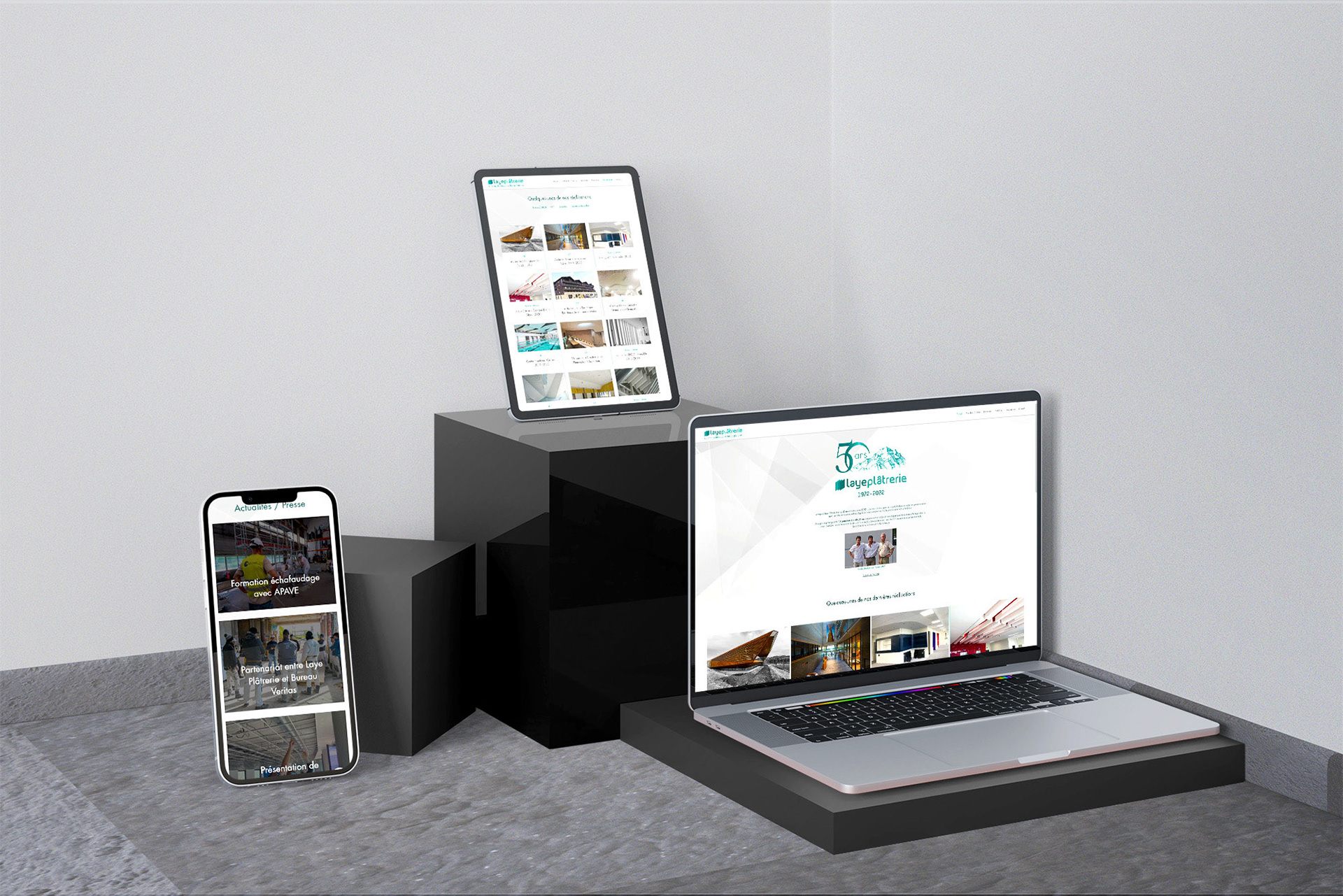 Site Internet de Laye Plâtrerie à Domène
