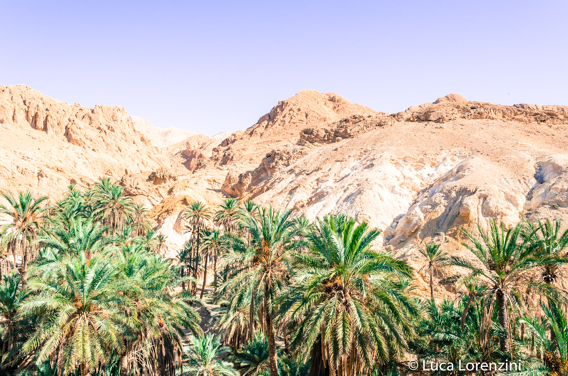 Oasis De Mides