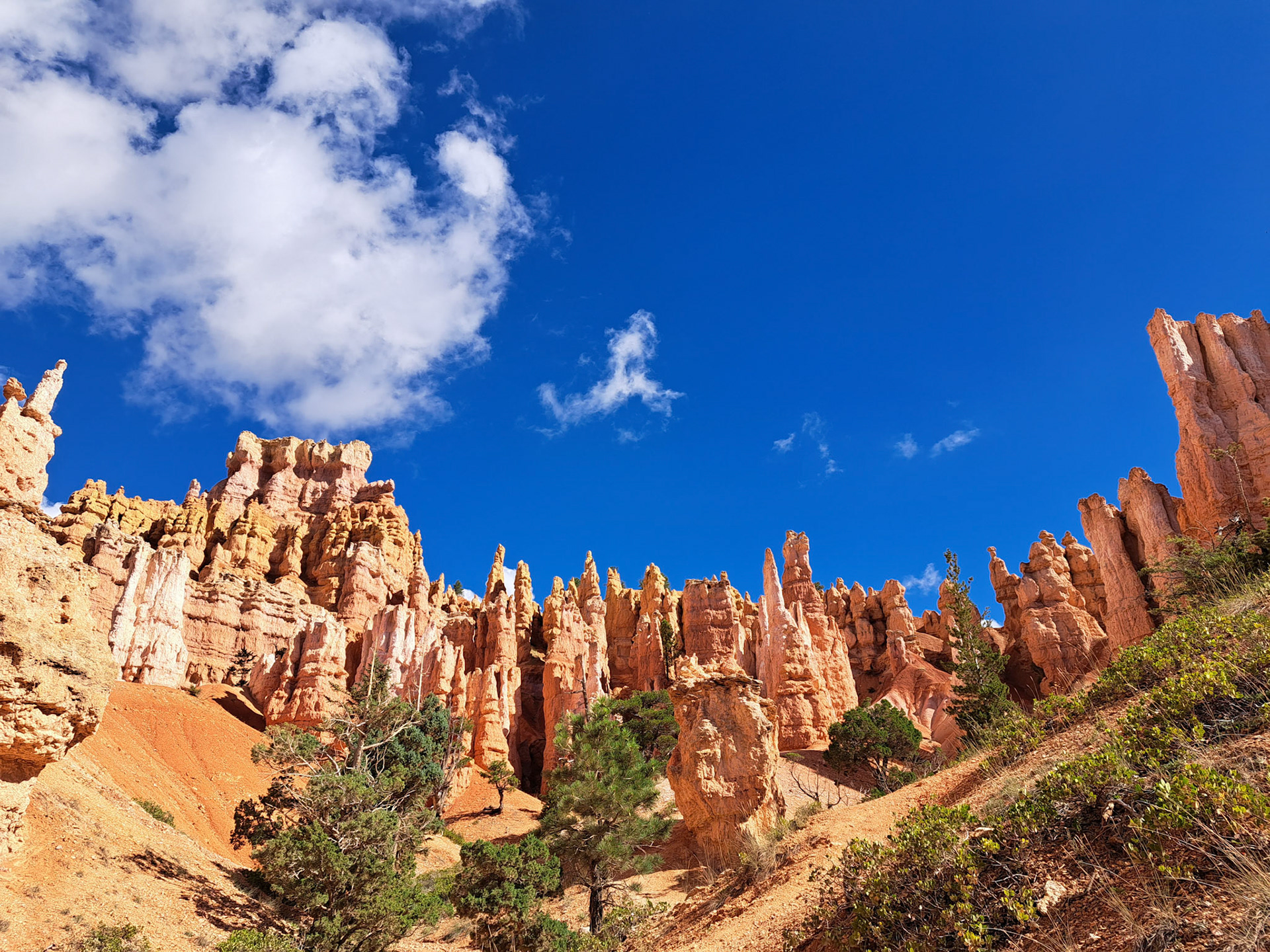 Bryce Canyon N.P.
