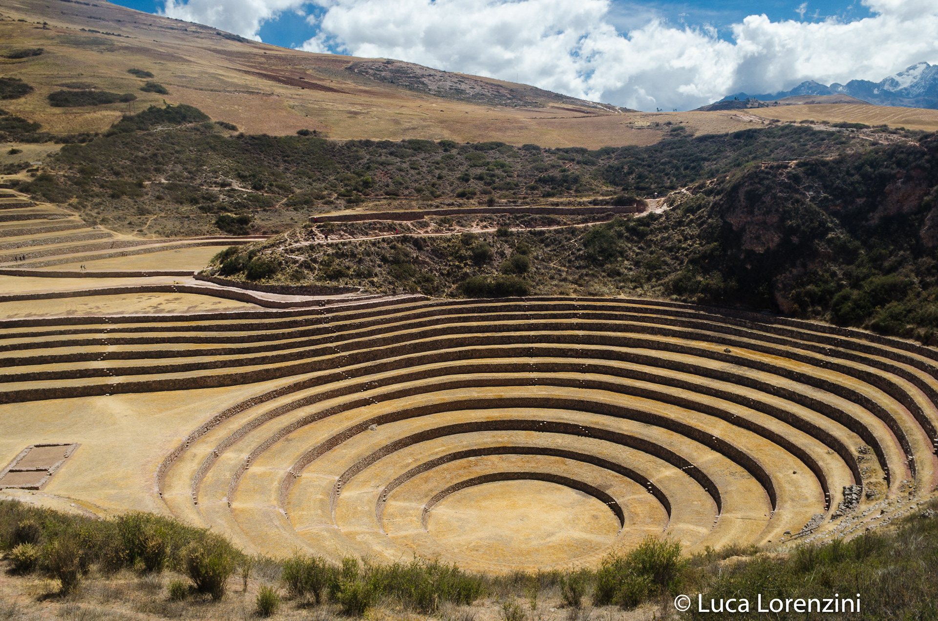Moray