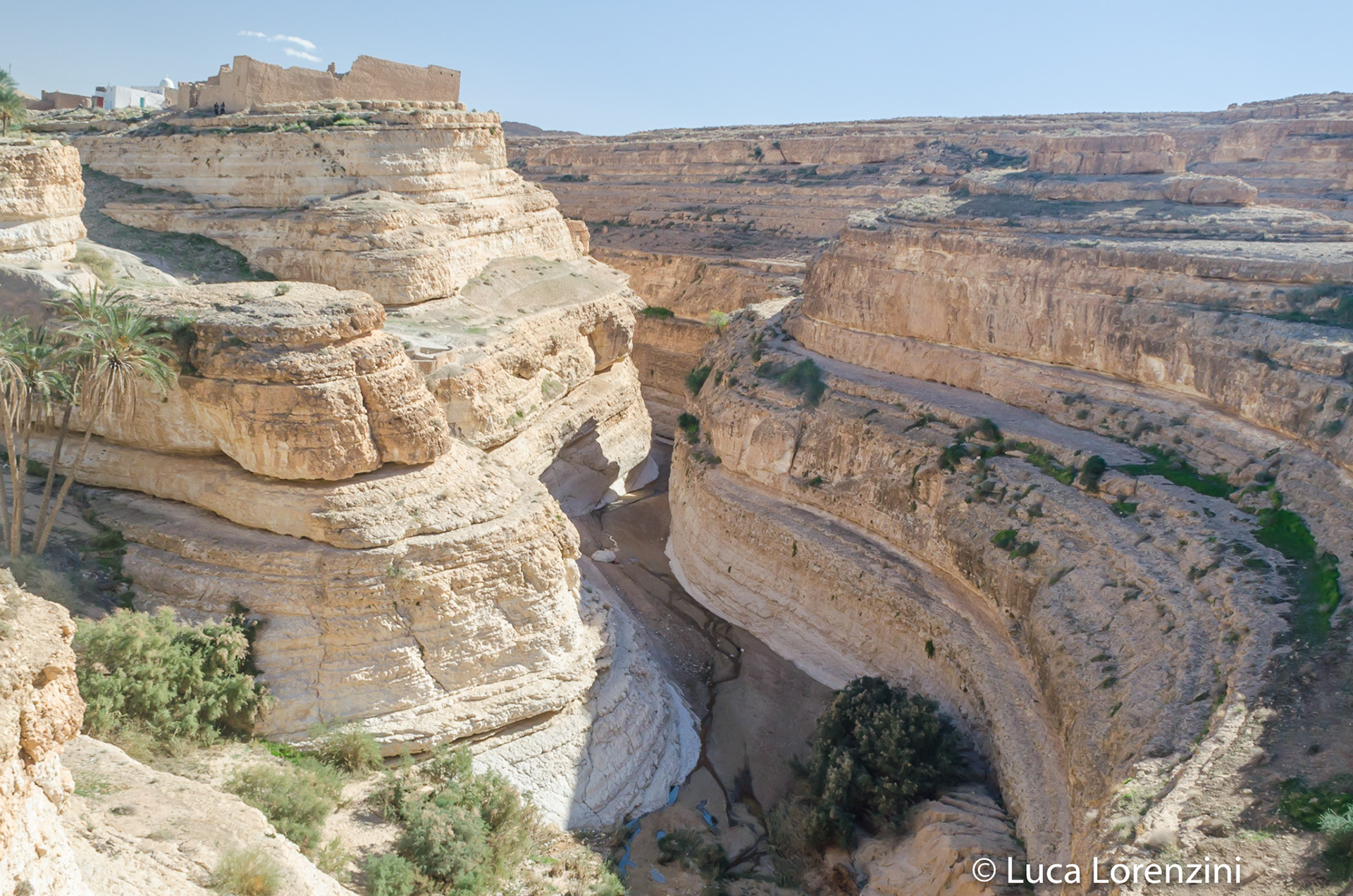 Oasis De Mides