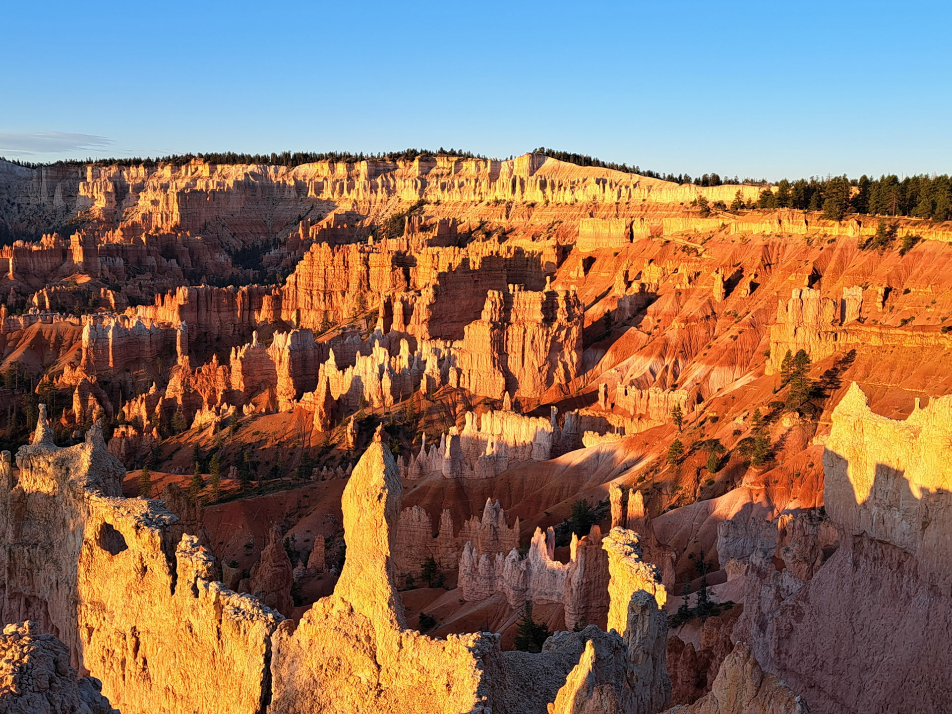 Bryce Canyon N.P.
