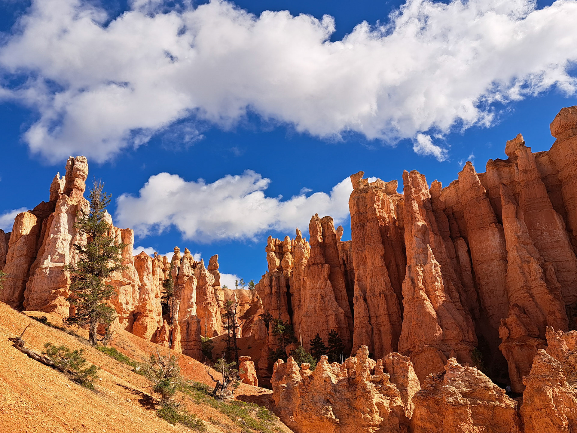 Bryce Canyon N.P.