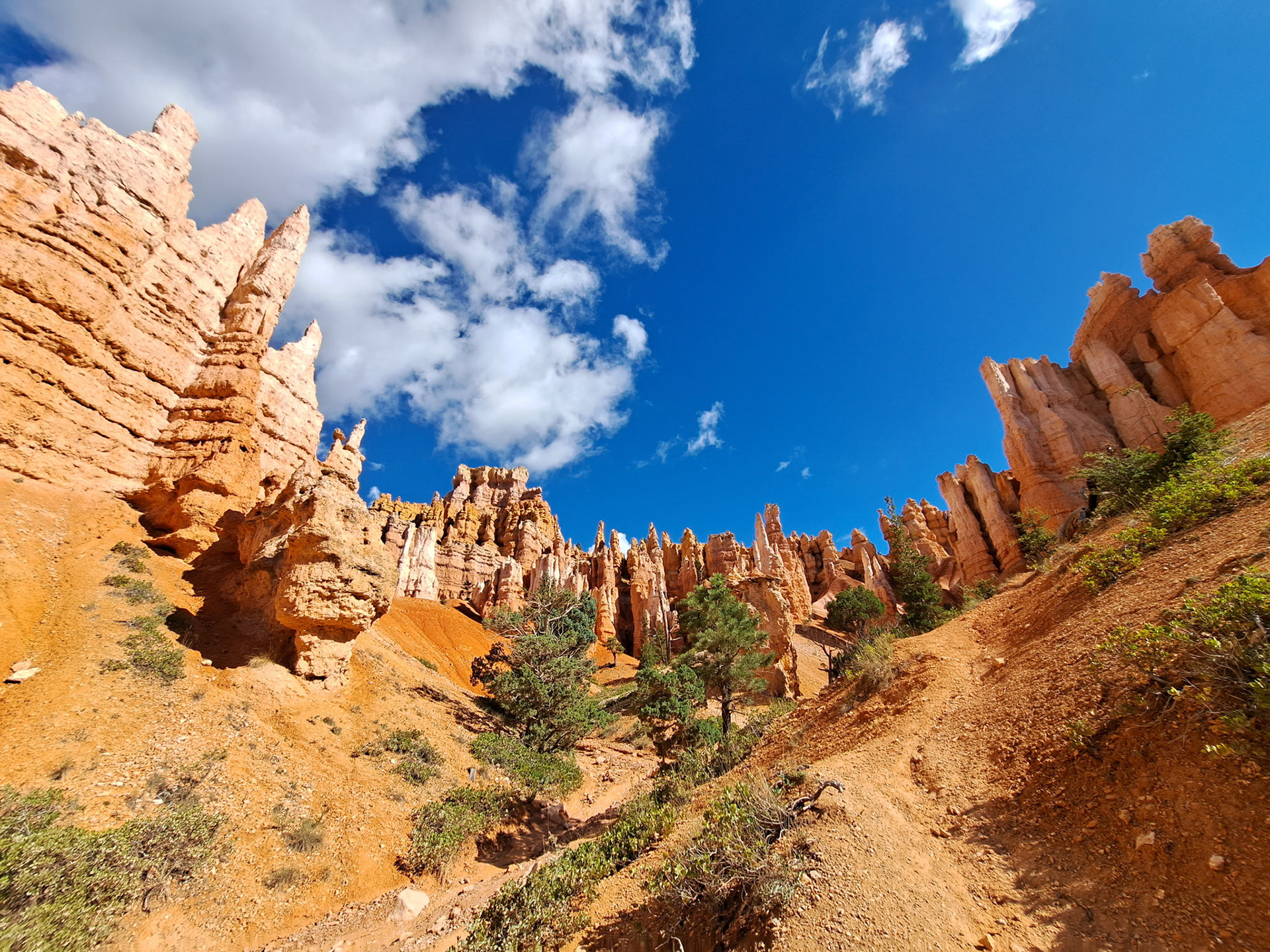 Bryce Canyon N.P.