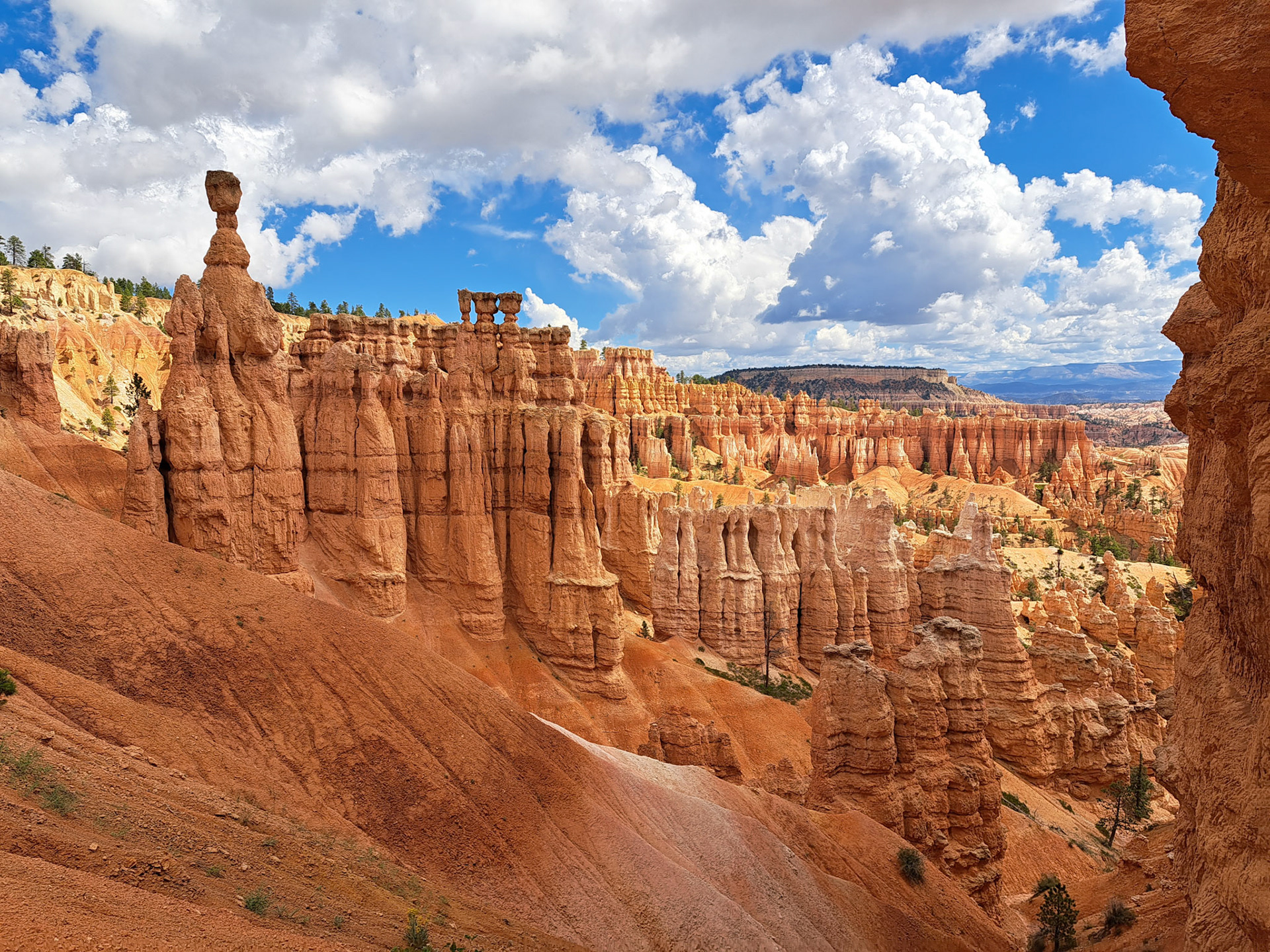 Bryce Canyon N.P.