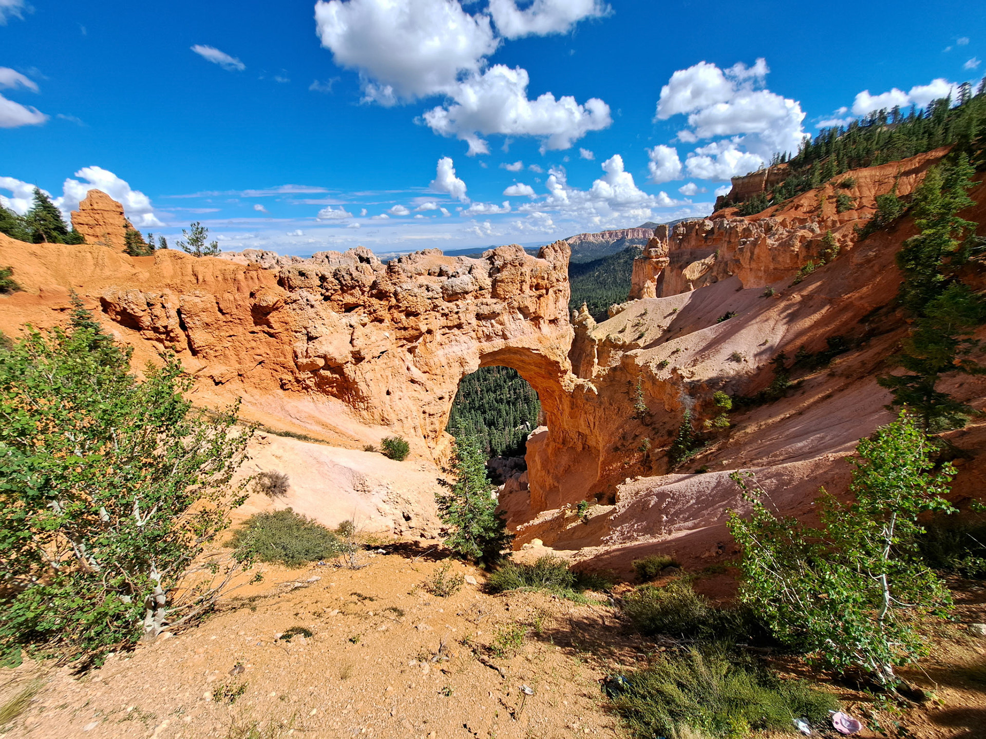 Bryce Canyon N.P.
