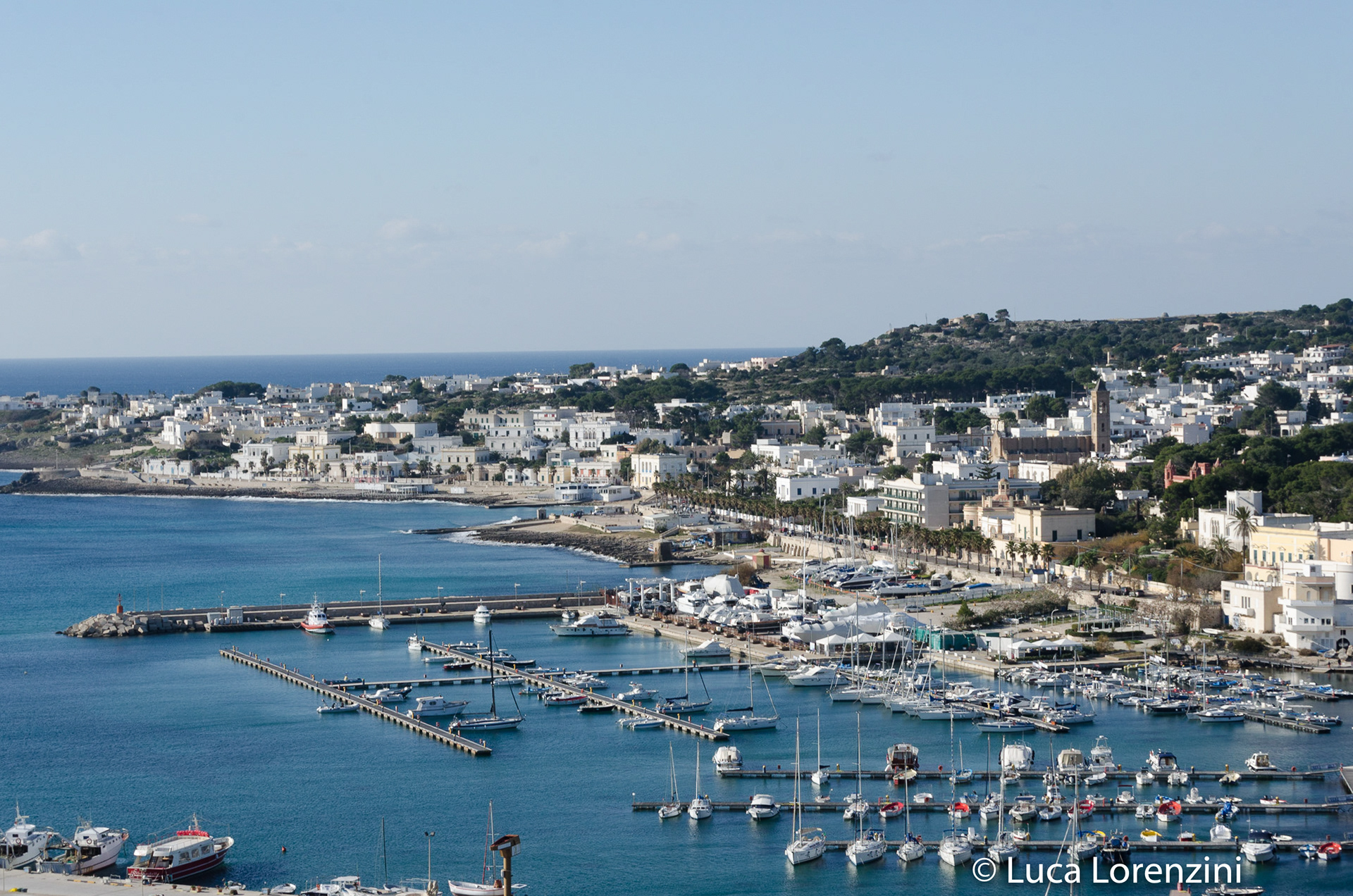 Leuca