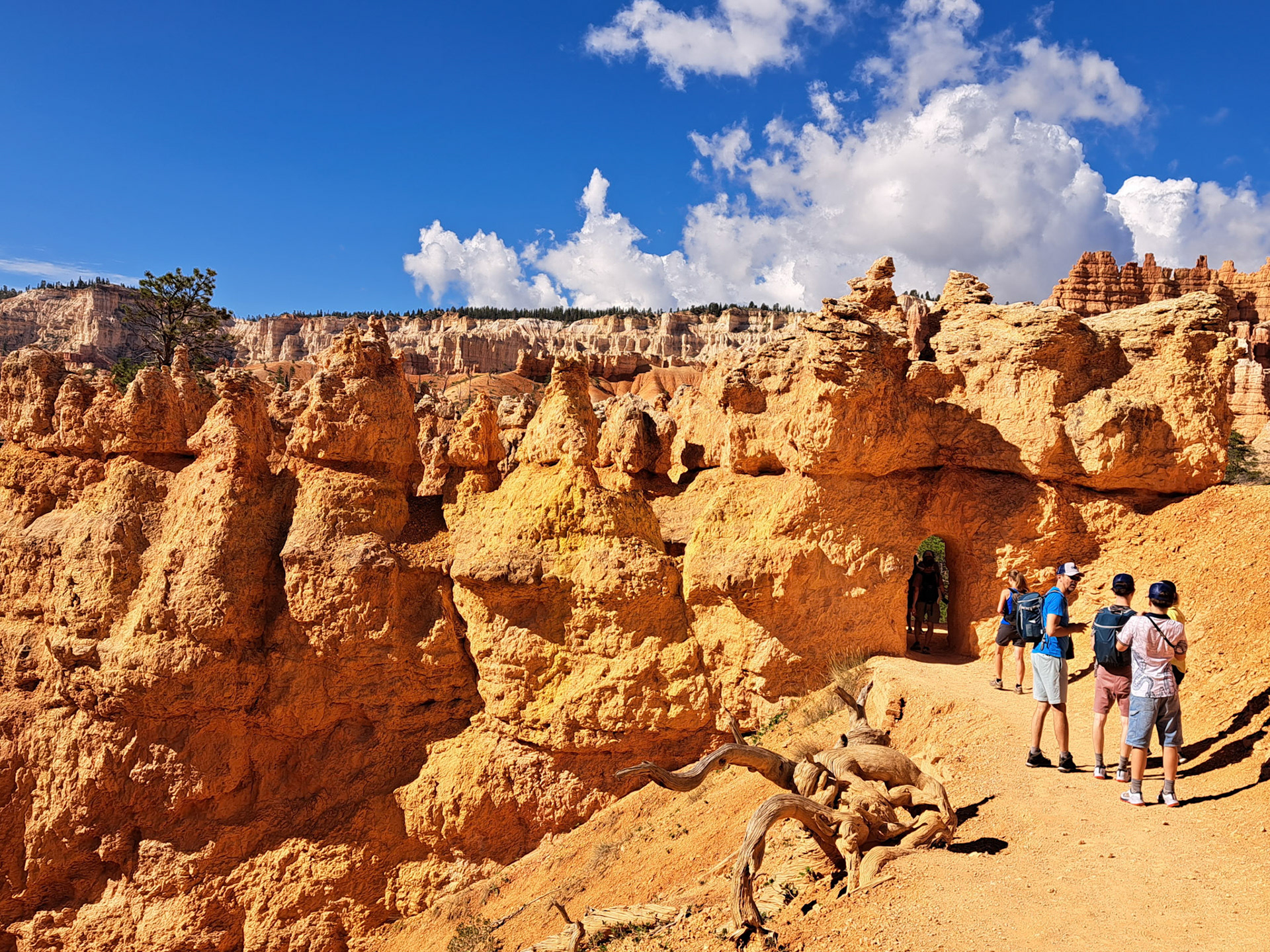 Bryce Canyon N.P.