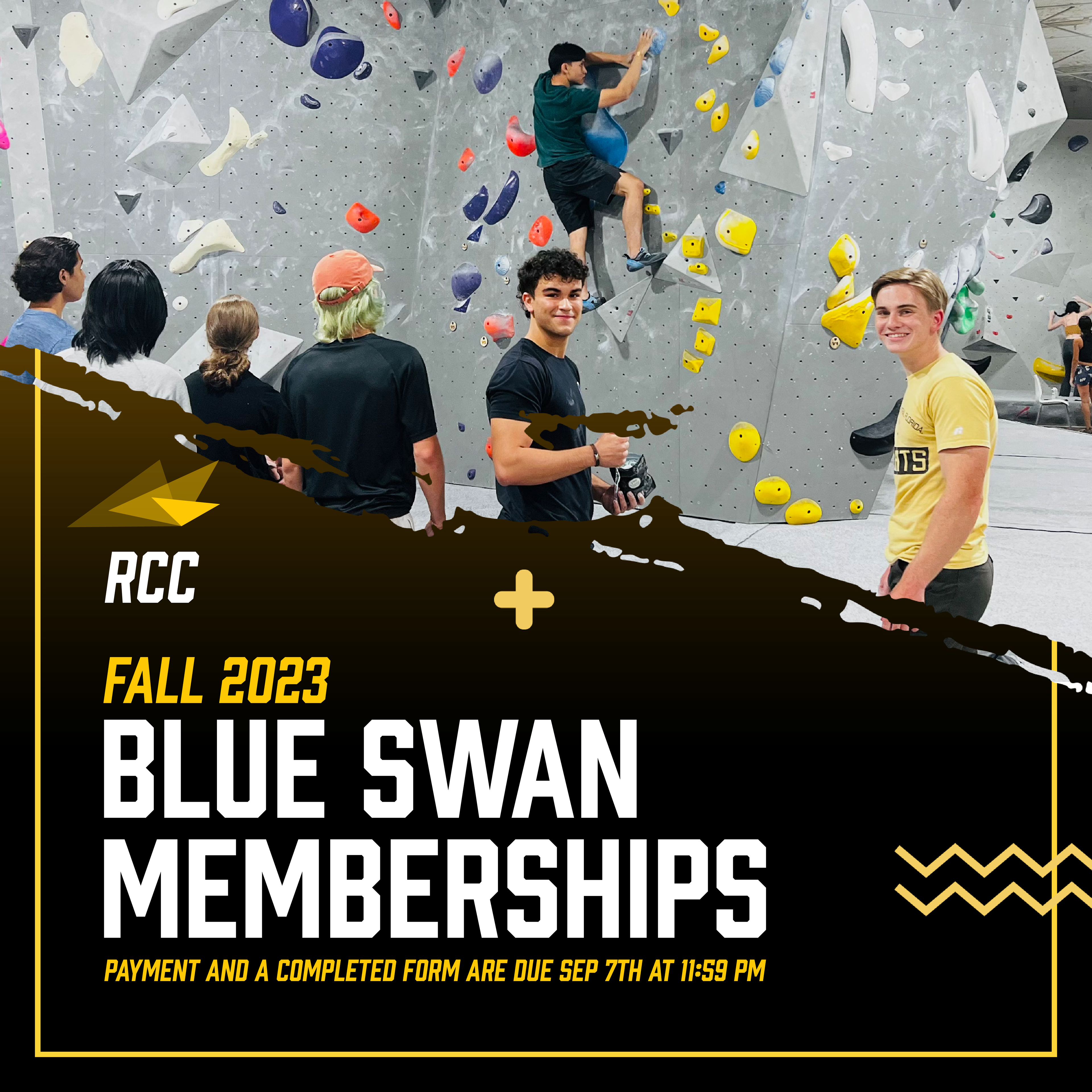 Blue Swan Membership
