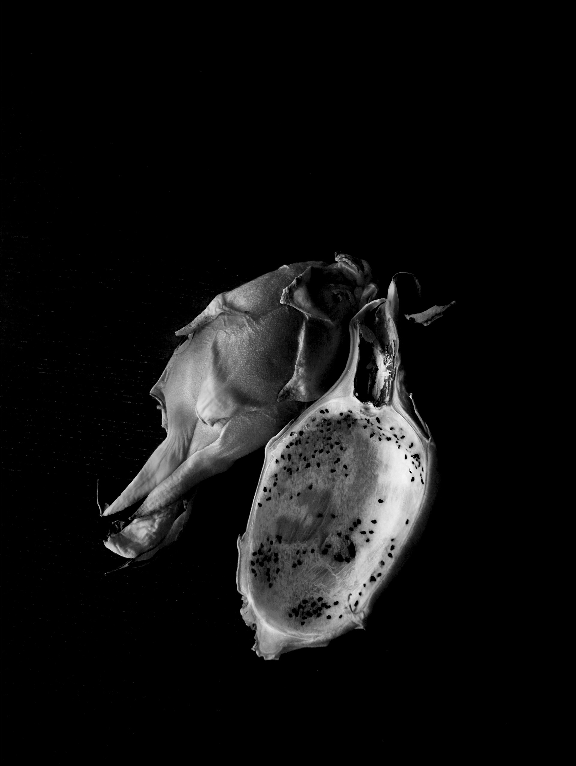 Pitahaya cb
