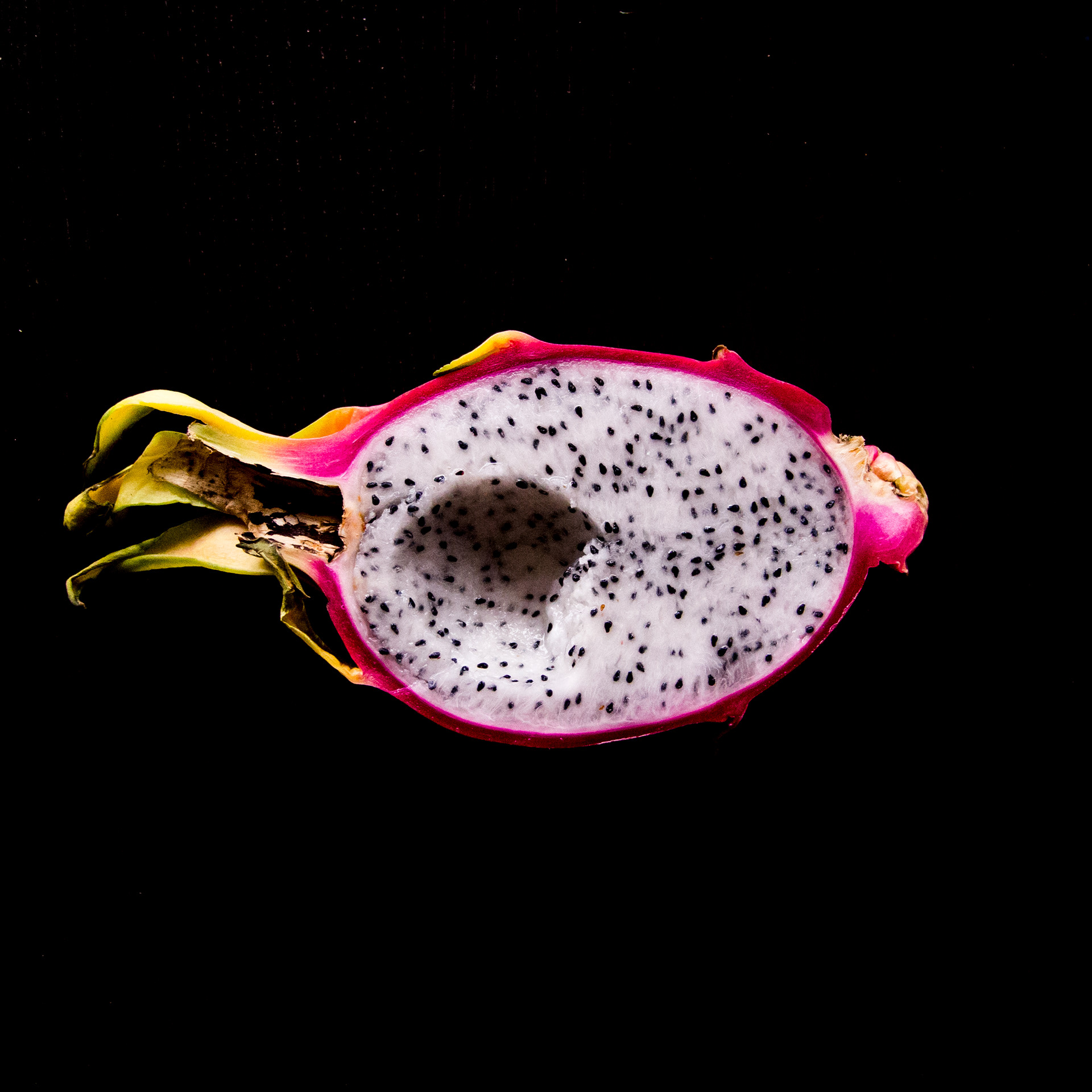 Pitahaya