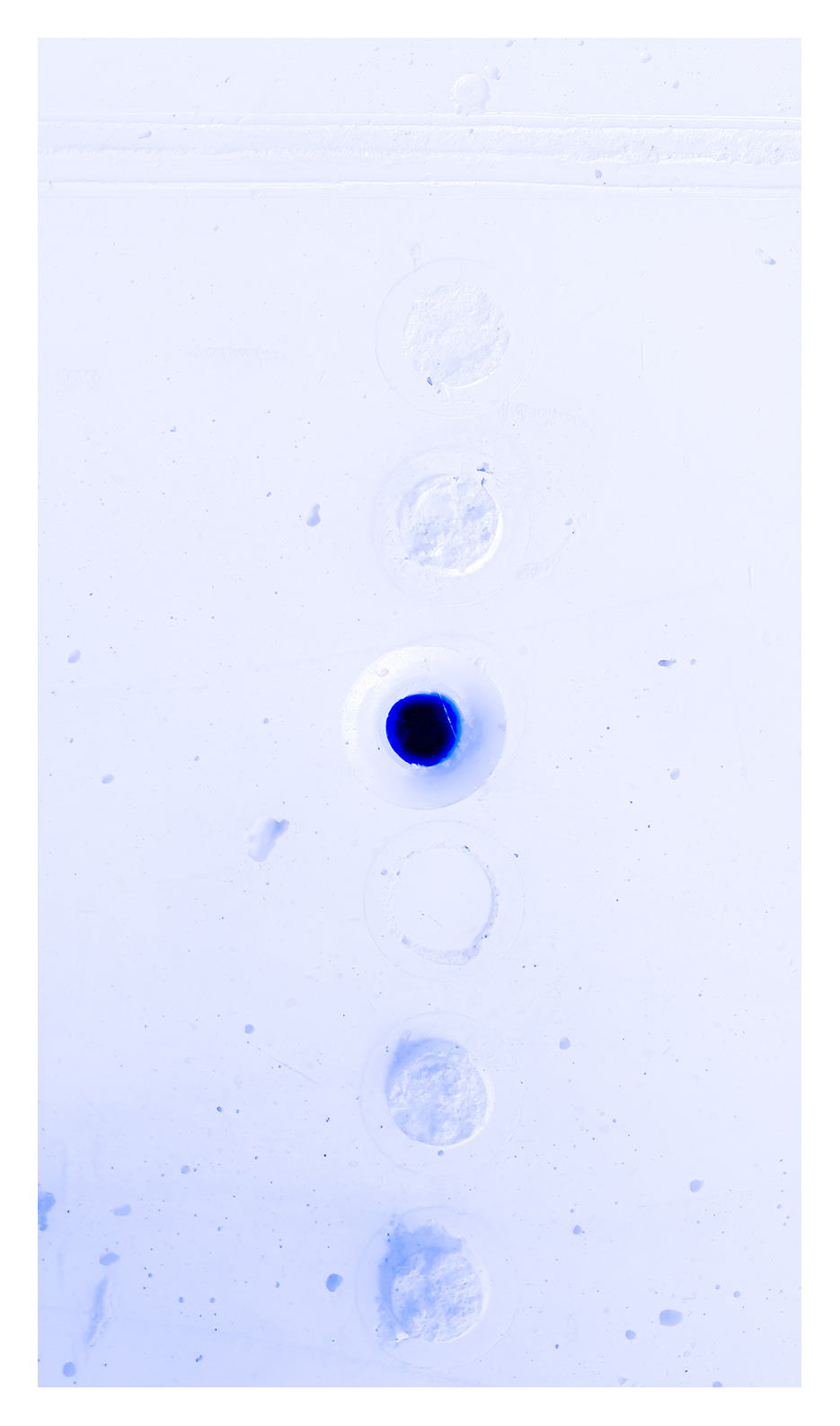 ŚCIANA blue