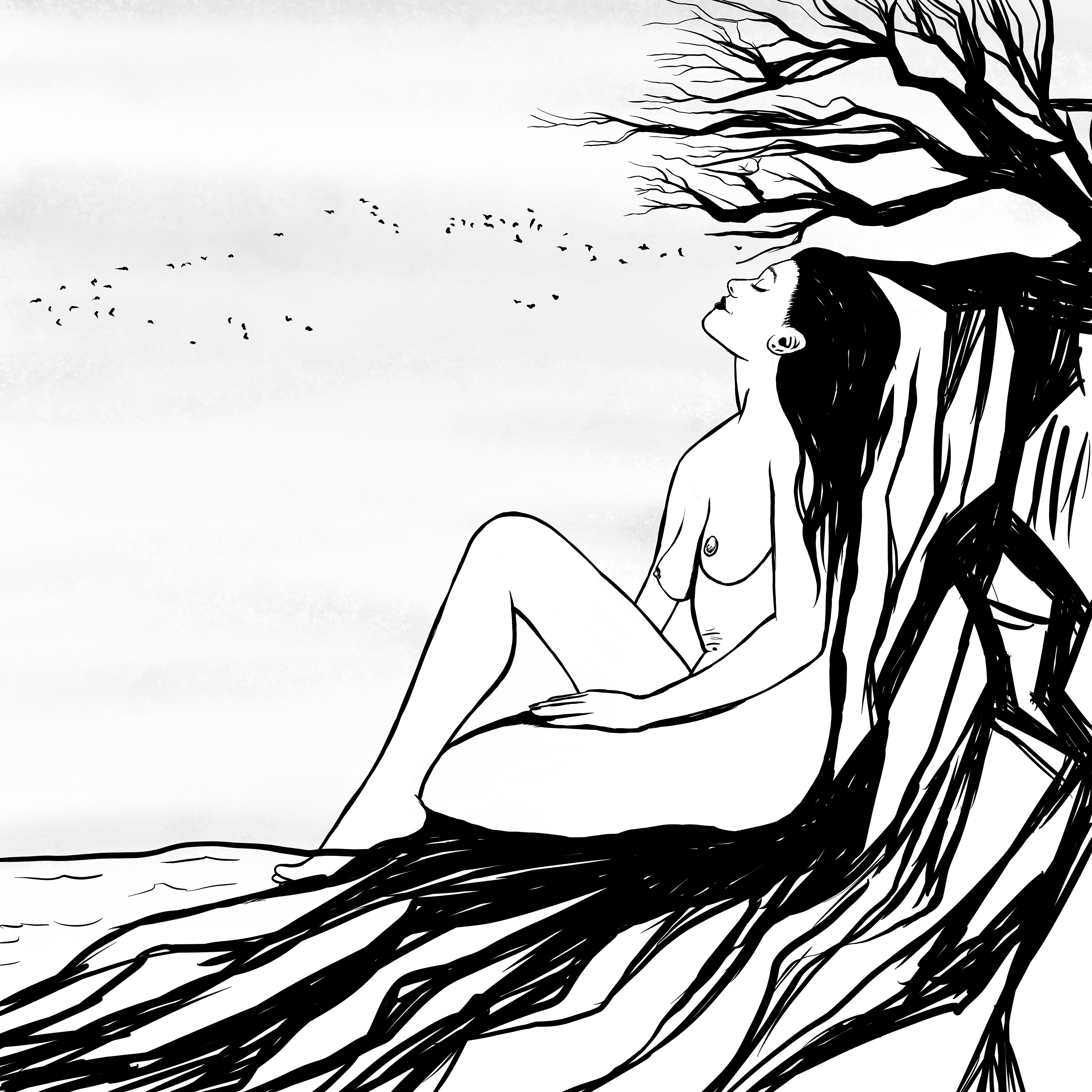 Wander