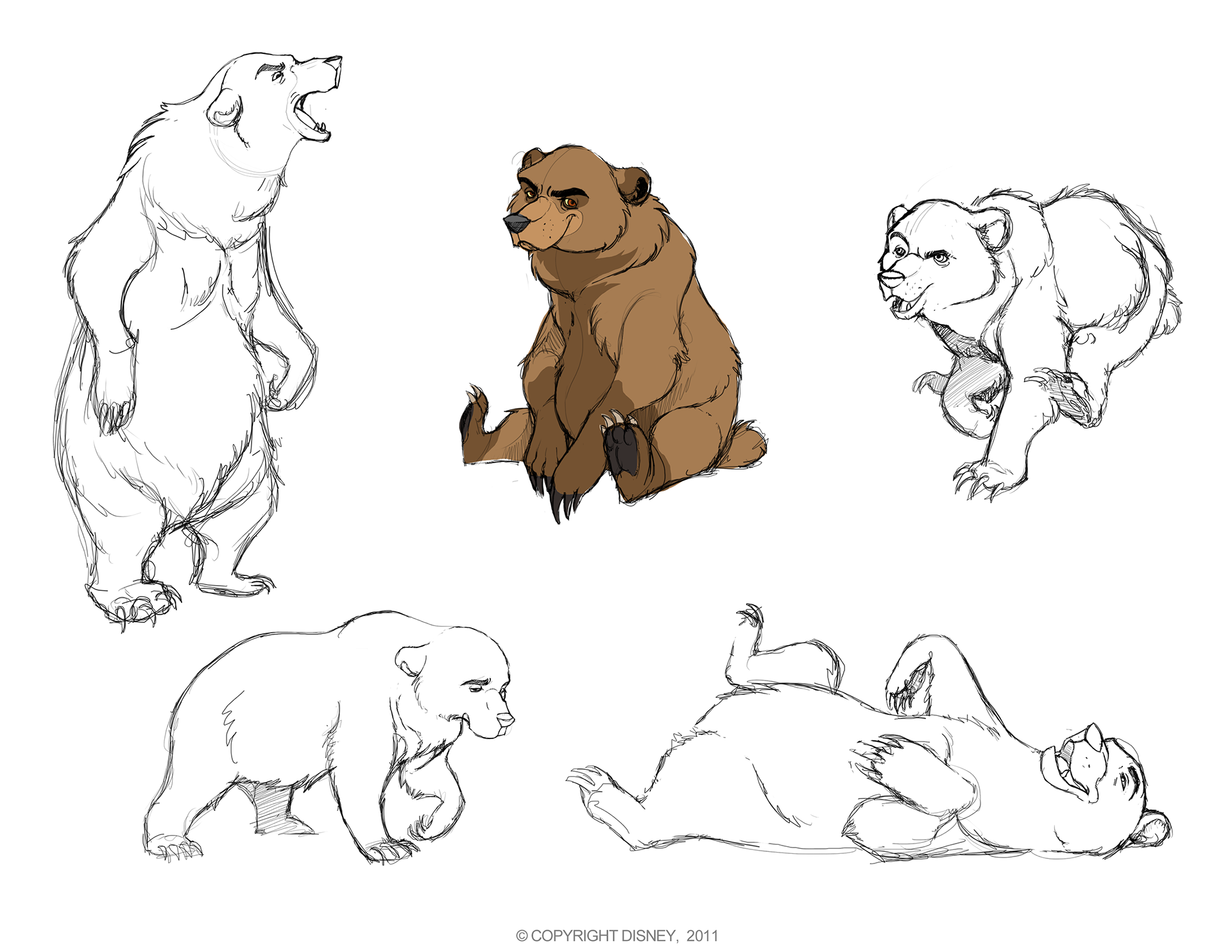 A handful of Grizzly Bear sketches portraying several different emotions and actions