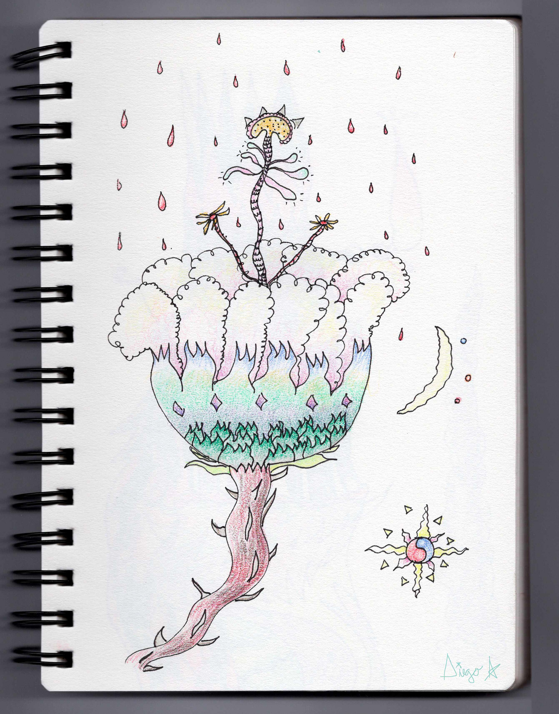 flor filosofal, 2023. estudios de alquimia. lápices de color sobre papel. 15 x 20 cm.
