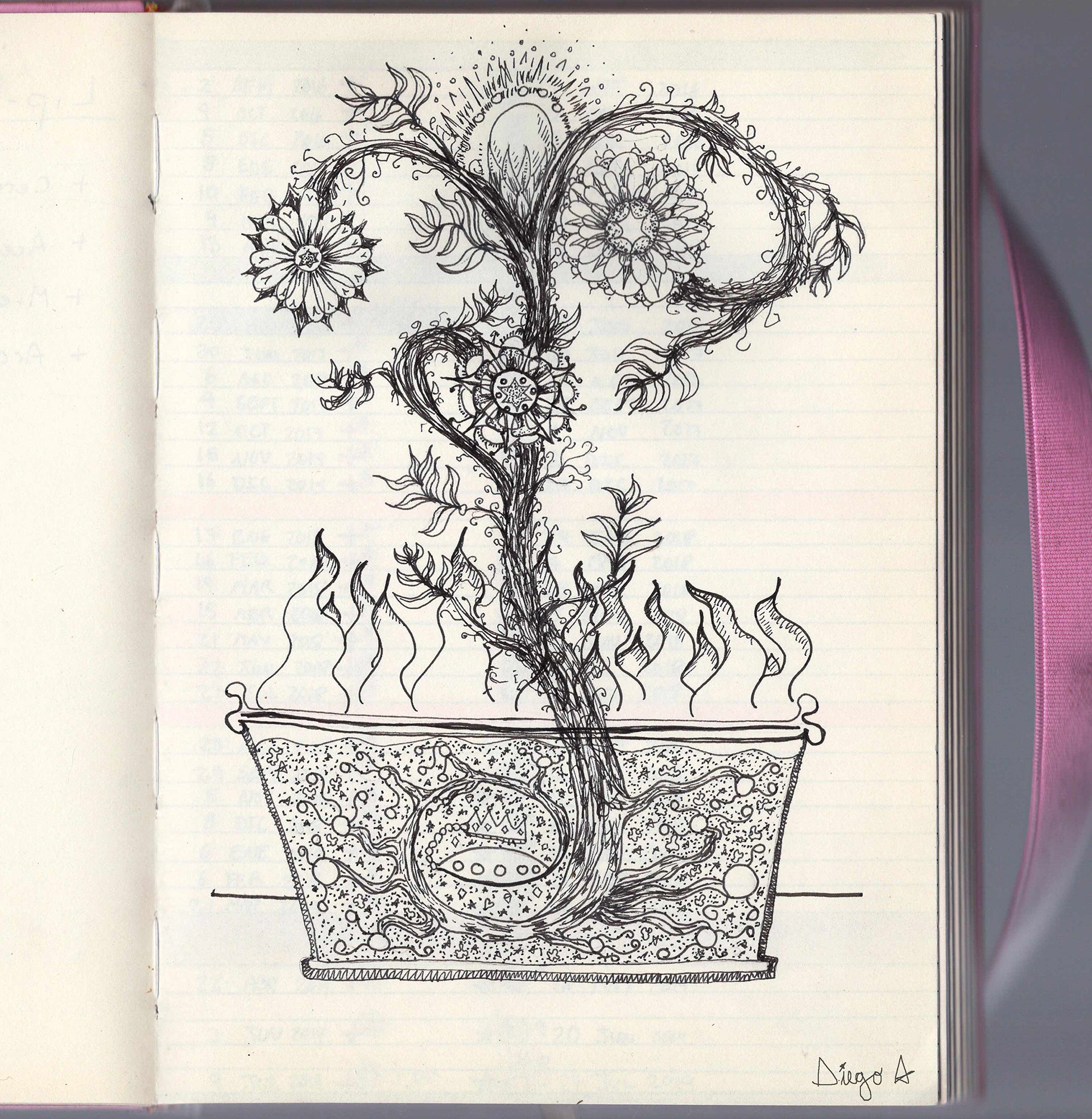 planta filosófica, 2019. estudios de alquimia. tinta sobre papel. 15 x 20 cm.