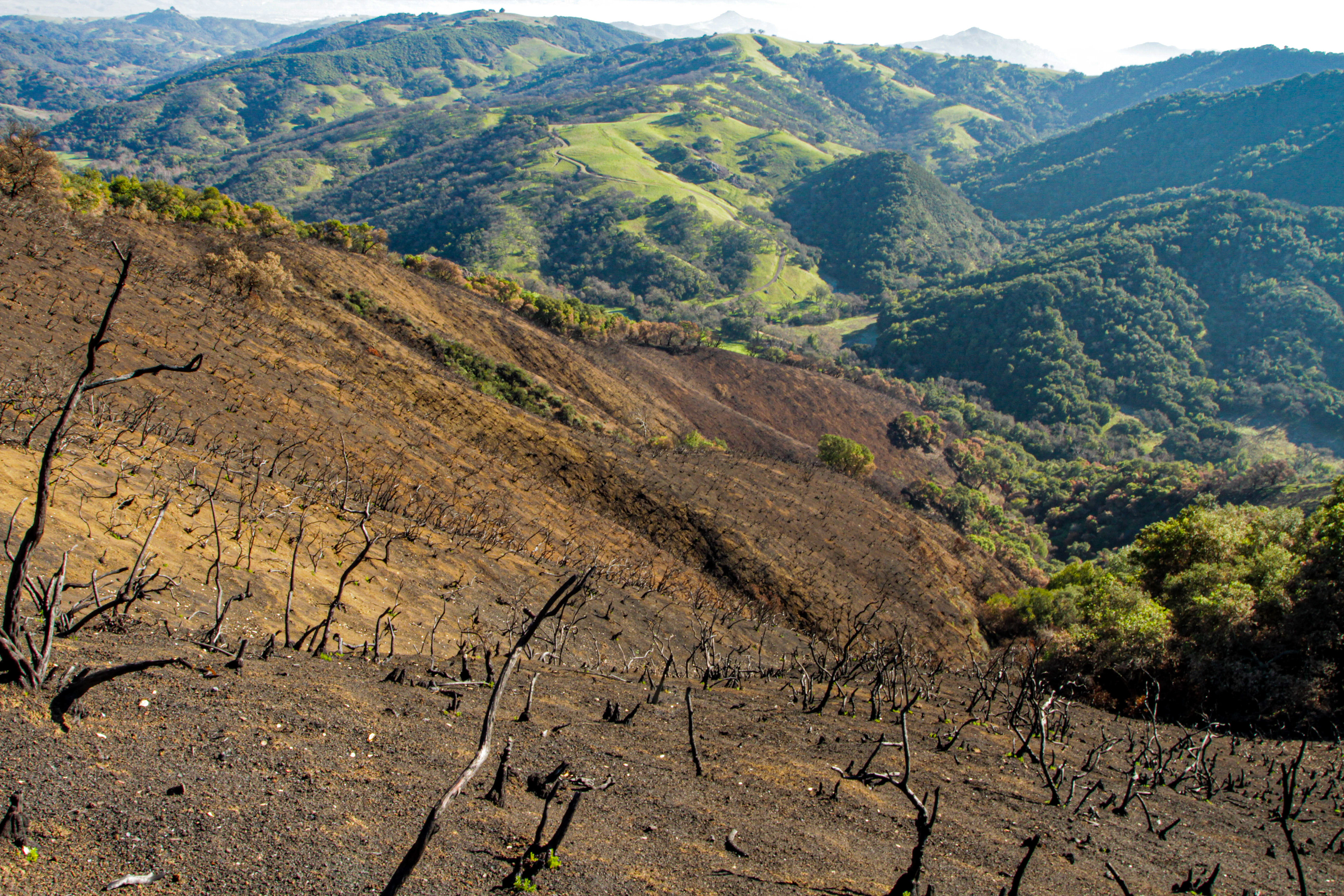 Loma Fire Damage - Santa Clara, California