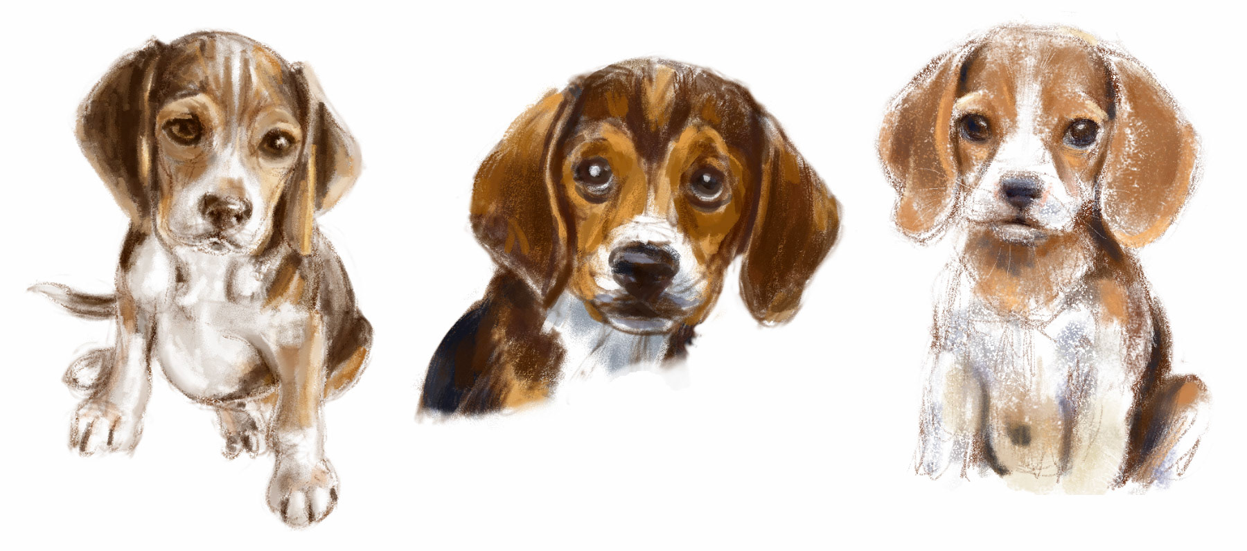 Beagle Puppies spot illustrations - digital paint