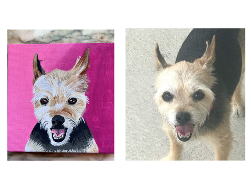 Sassy on 4x4 wrapped canvas ornament