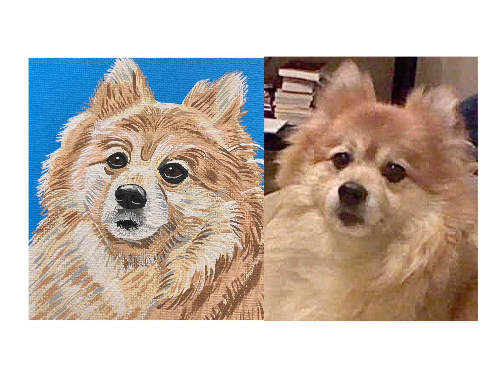 Caesar on 4x4 wrapped canvas ornament