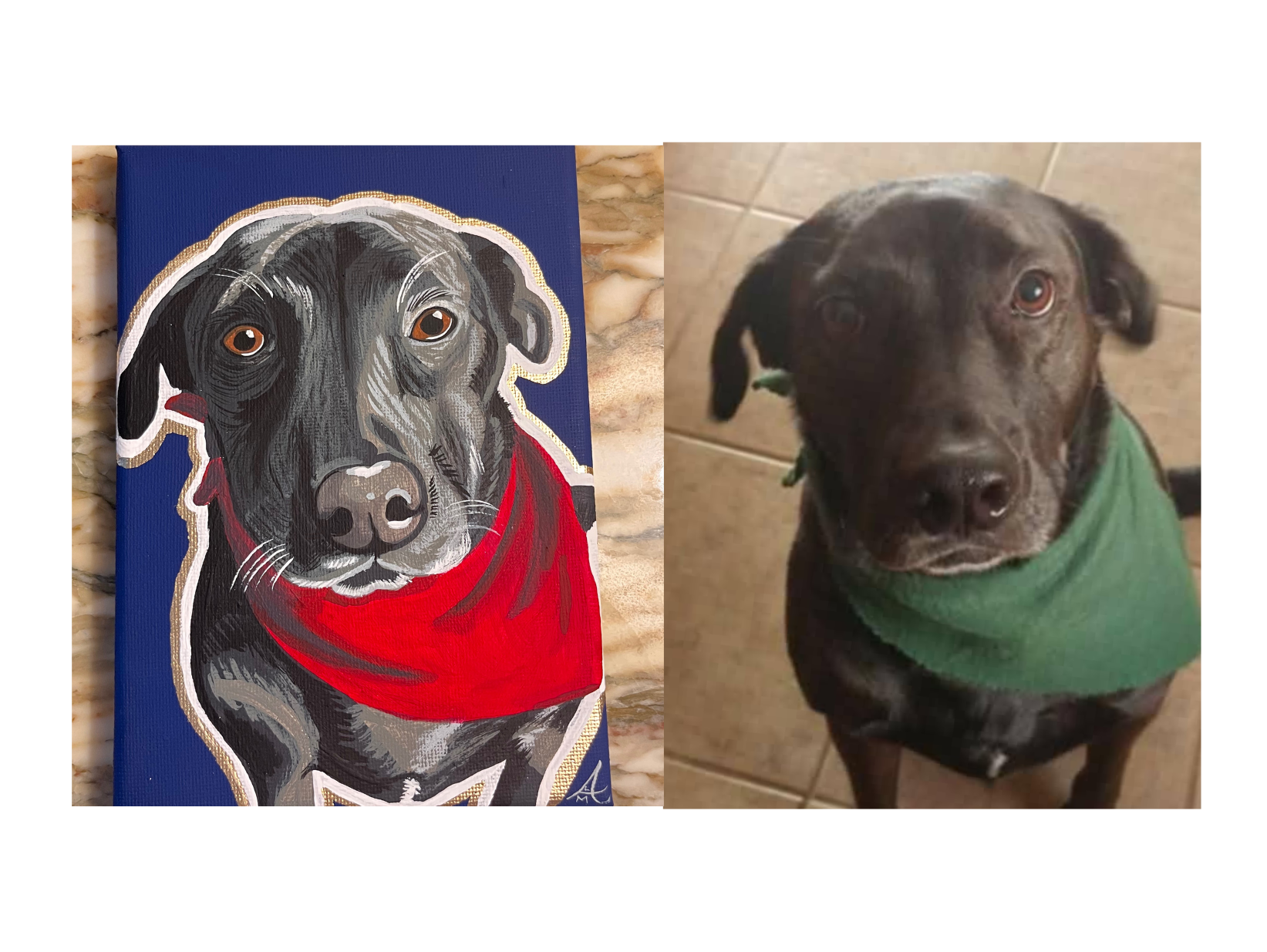 Murphy on 5x7 wrapped canvas
