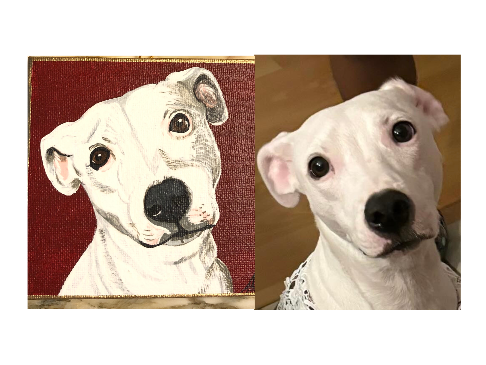 Leia on 4x4 wrapped canvas ornament