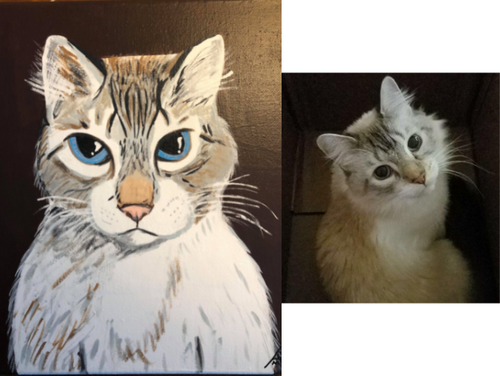 Anakin on 8x10 wrapped canvas