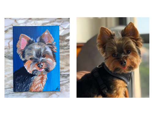 Cookie on 5x7 flat canvas