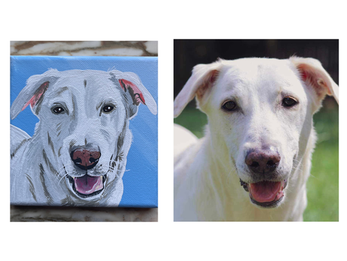 Buddy on 5x5 wrapped canvas