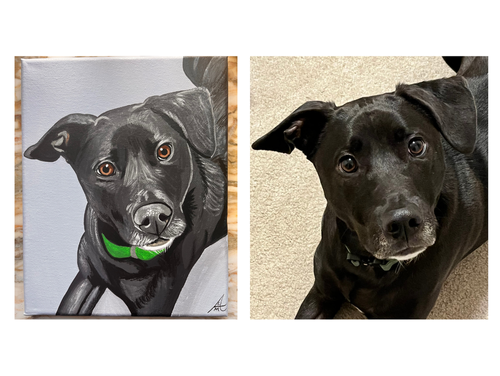 Finn on 8x10 wrapped canvas