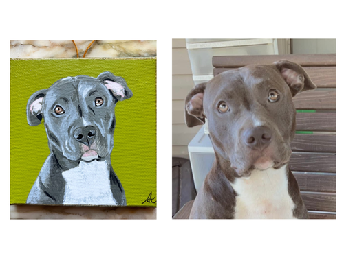 Bailey on 4x4 wrapped canvas ornament