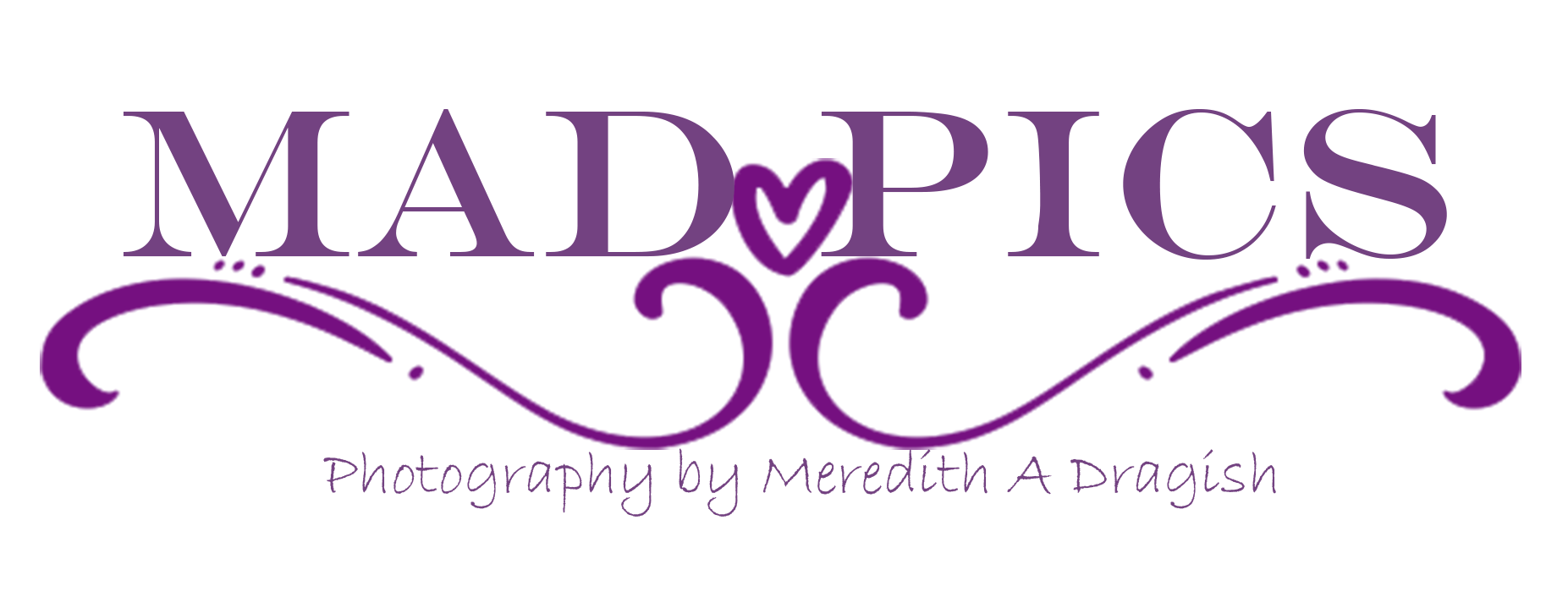 Meredith dragish