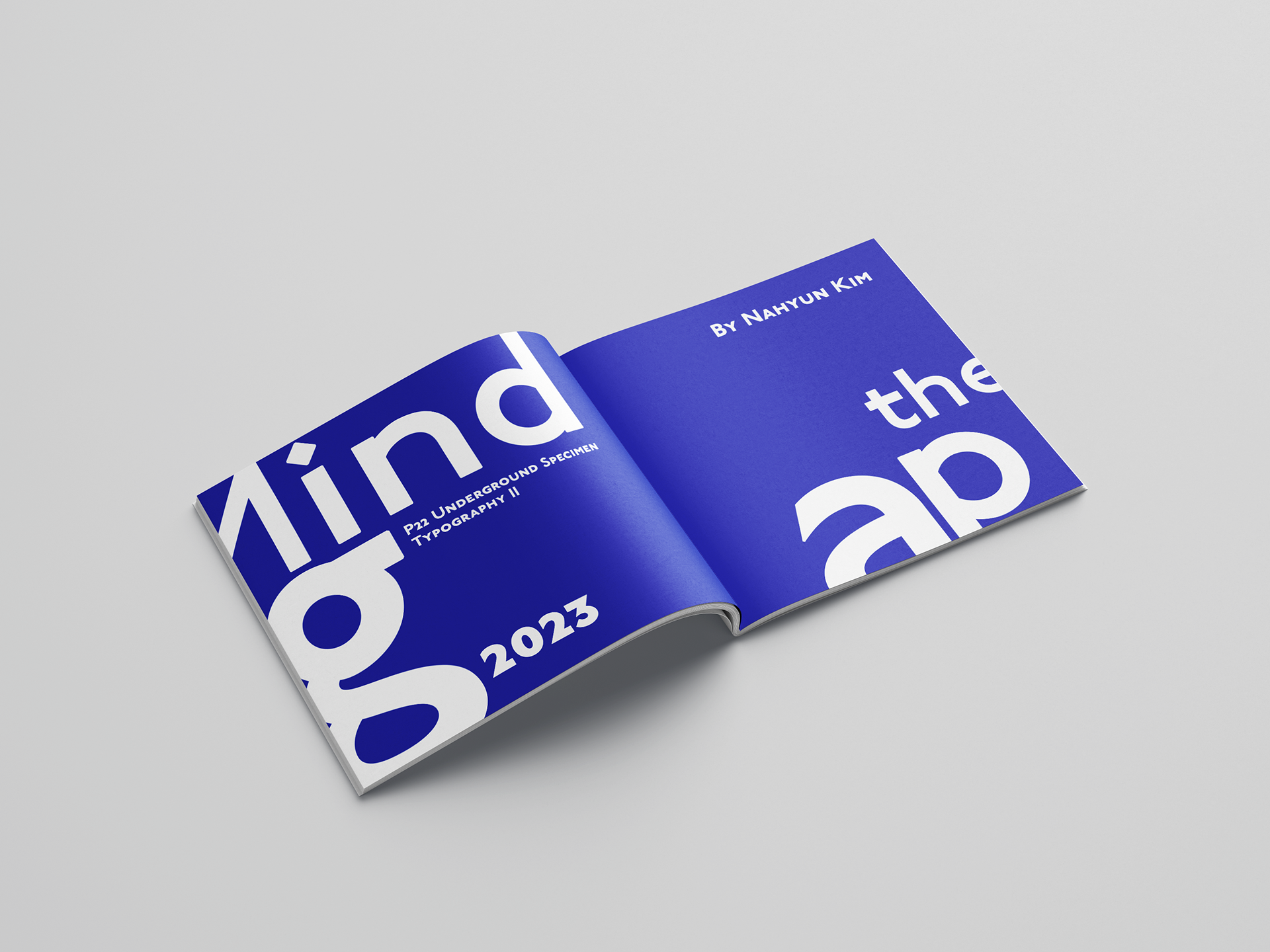 The half-title page features a solid blue background and utilizes the P22 Underground typeface.