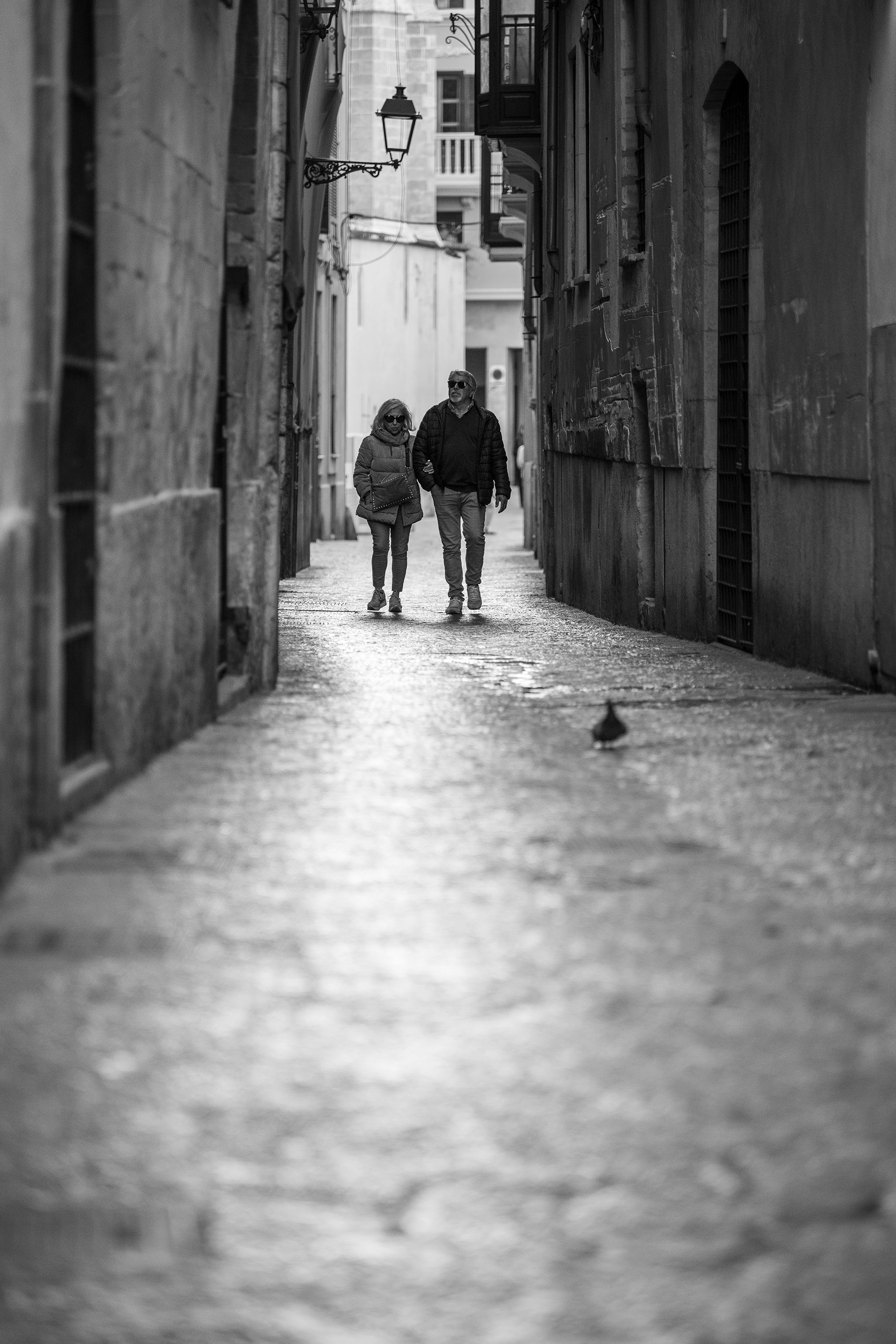 The pigeon tourist. Part 2.