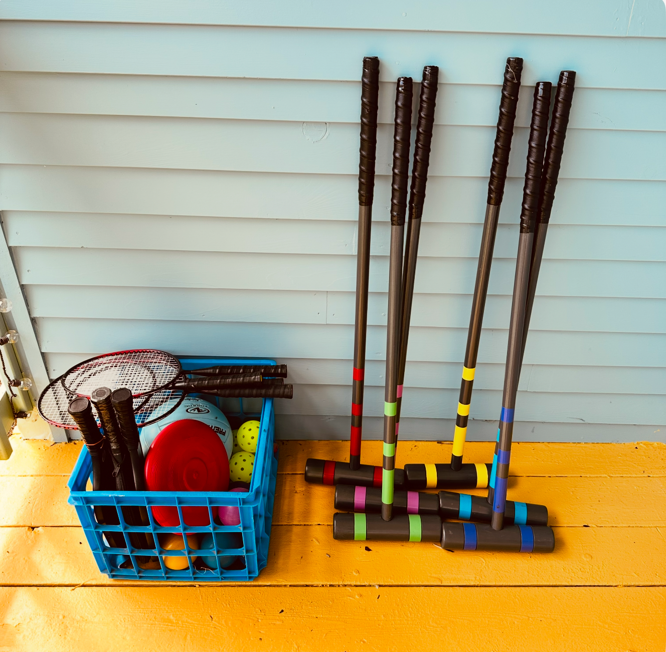 Badminton, Croquet and aVolley Ball in the backyard