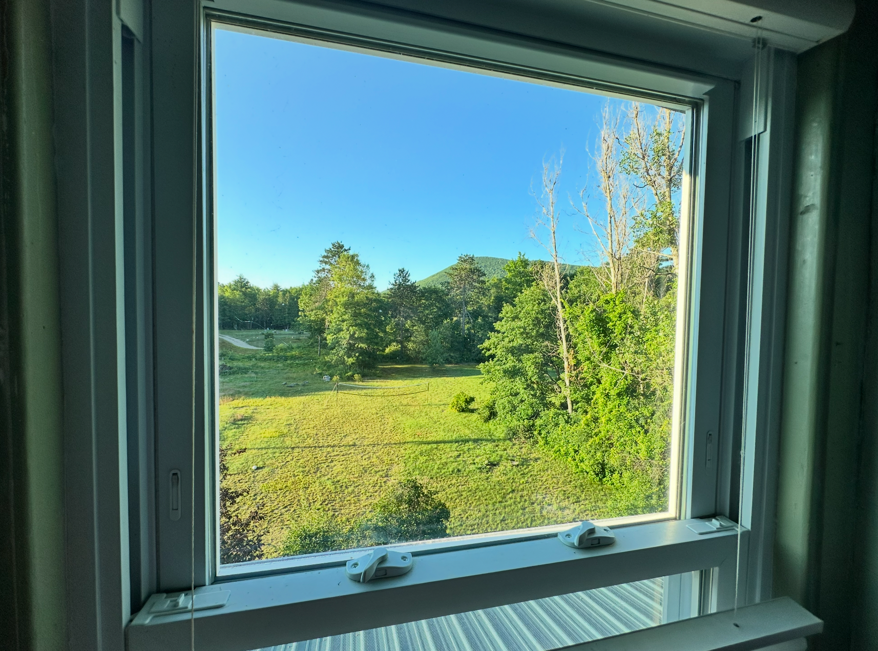 view of the backyard