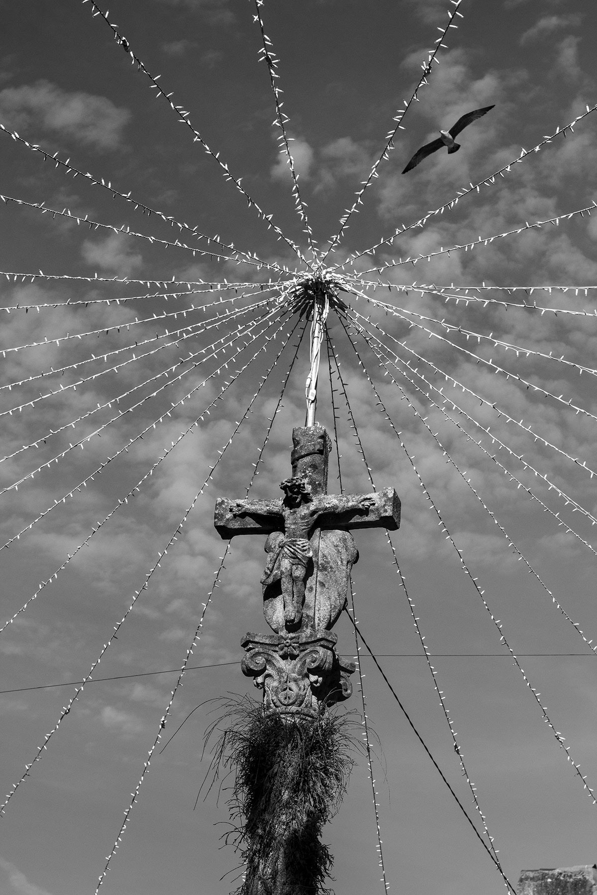 Fotografía
