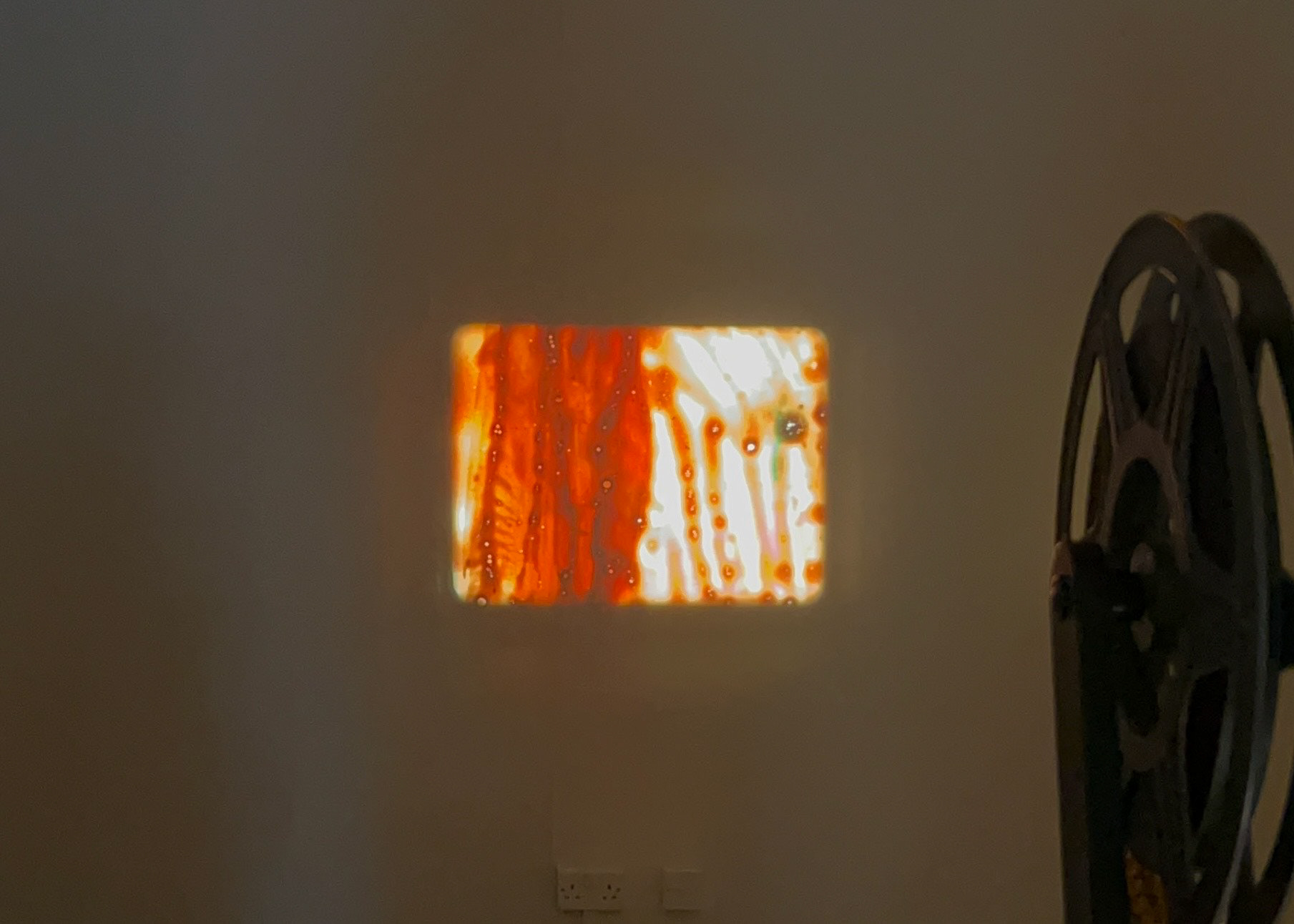 Worlds Apart collective filmmaking work 2024 Cooper Gallery.