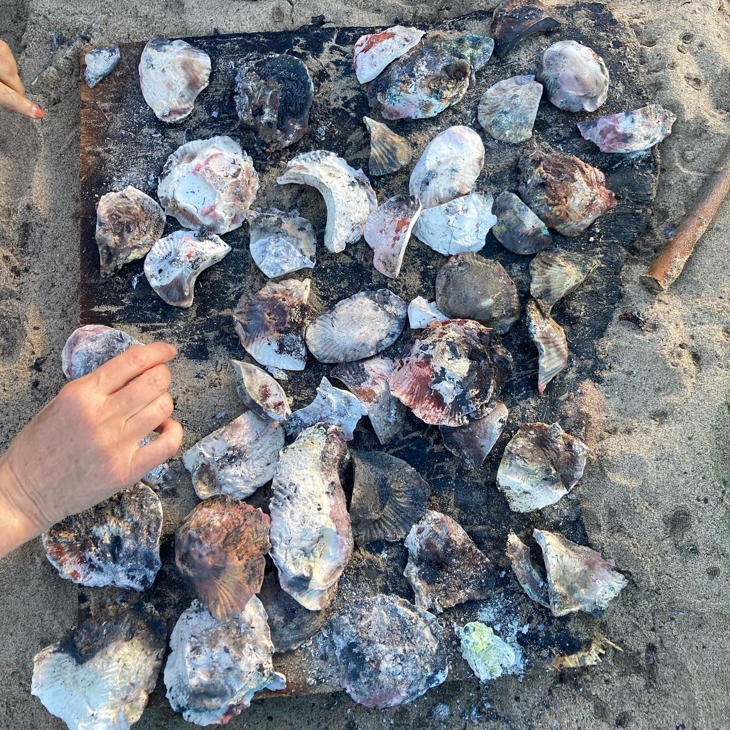 salt wounds, ceremonial collective firing. Art Walk Porty, 2023.