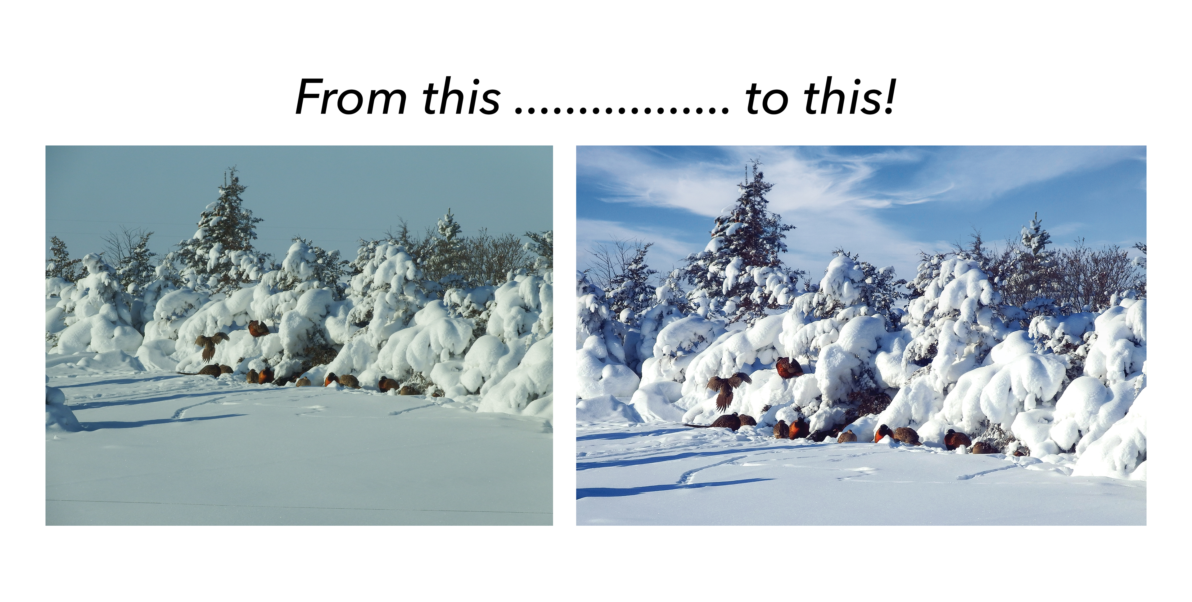 Editing: Before & After