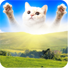Cat World
