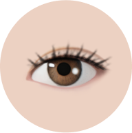 Lash F