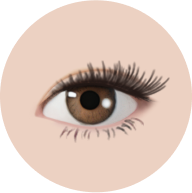 Lash E