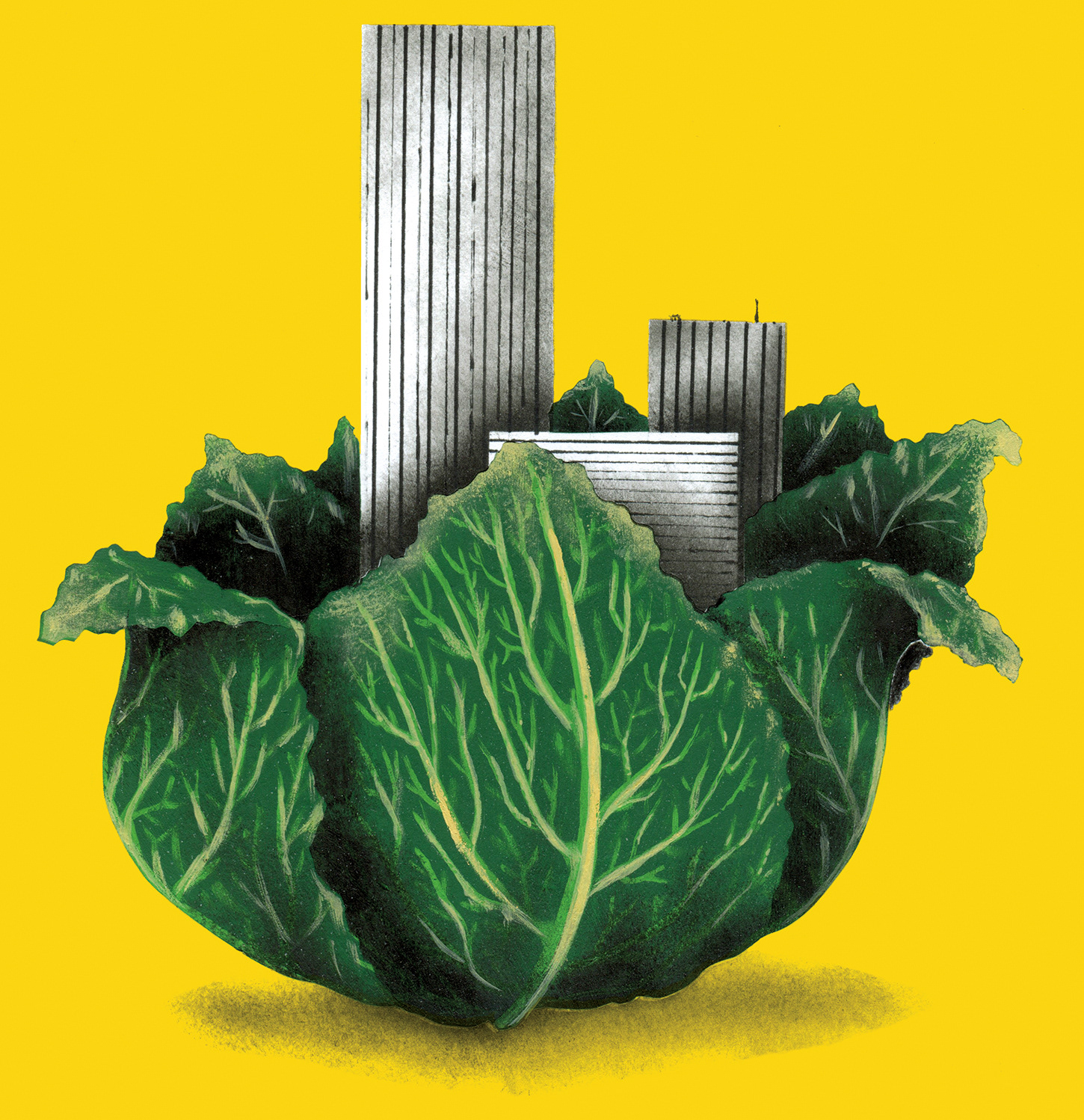 Revue Urbanisme janvier 2026