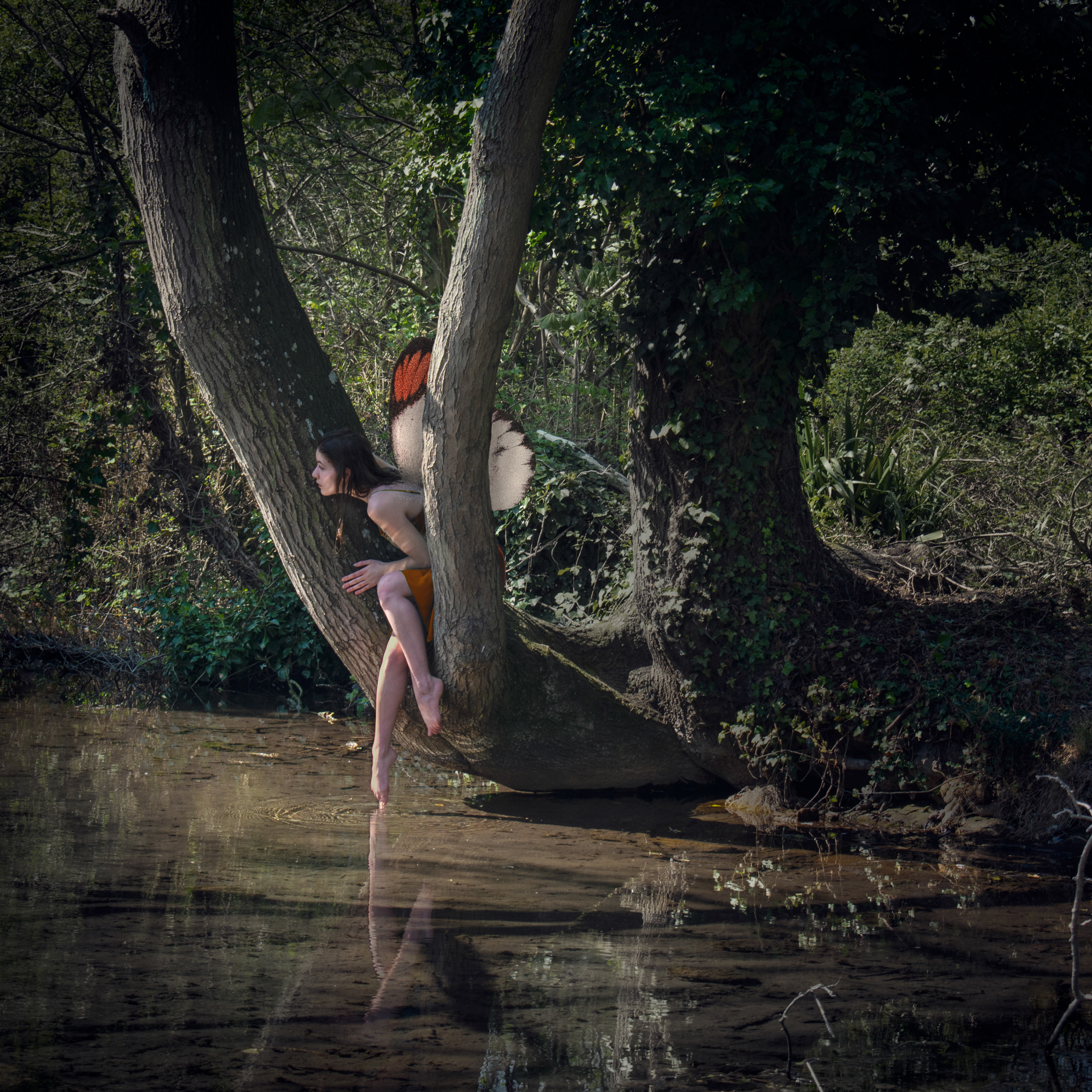 Fairies:  While fairies may seem like one of the simpler creatures to explain, many believing them to be the tiny, winged creatures we see in stories like Peter Pan and collections such as the ‘flower fairies’ by Cicely Mary Barker’s, historically they are actually described in many forms and seen in folklore to be closer in appearance to goblins, being small and green. Fairies in history were often feared as being powerful and dangerous who, although sometimes friendly to humans, were also mischievous and could cause havoc. Interest in fairies, or the ‘little people’ as some call them, has ebbed and flowed throughout the years, peaking during the middle ages and for a short time after world war 1, assisted by the Cottingly fairy Hoax in 1917 where fake images of fairies where made and used to campaign for their existence.