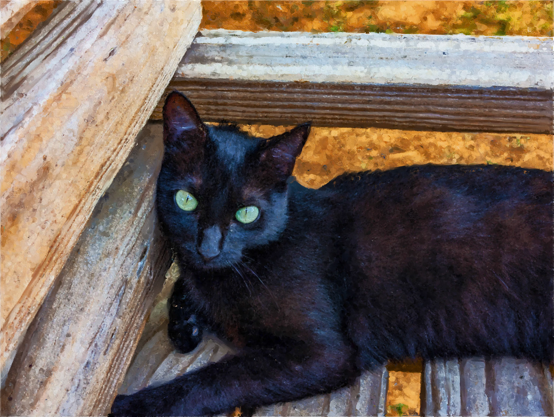 Black Cat 3.7Sty.Mix.Flat.tif