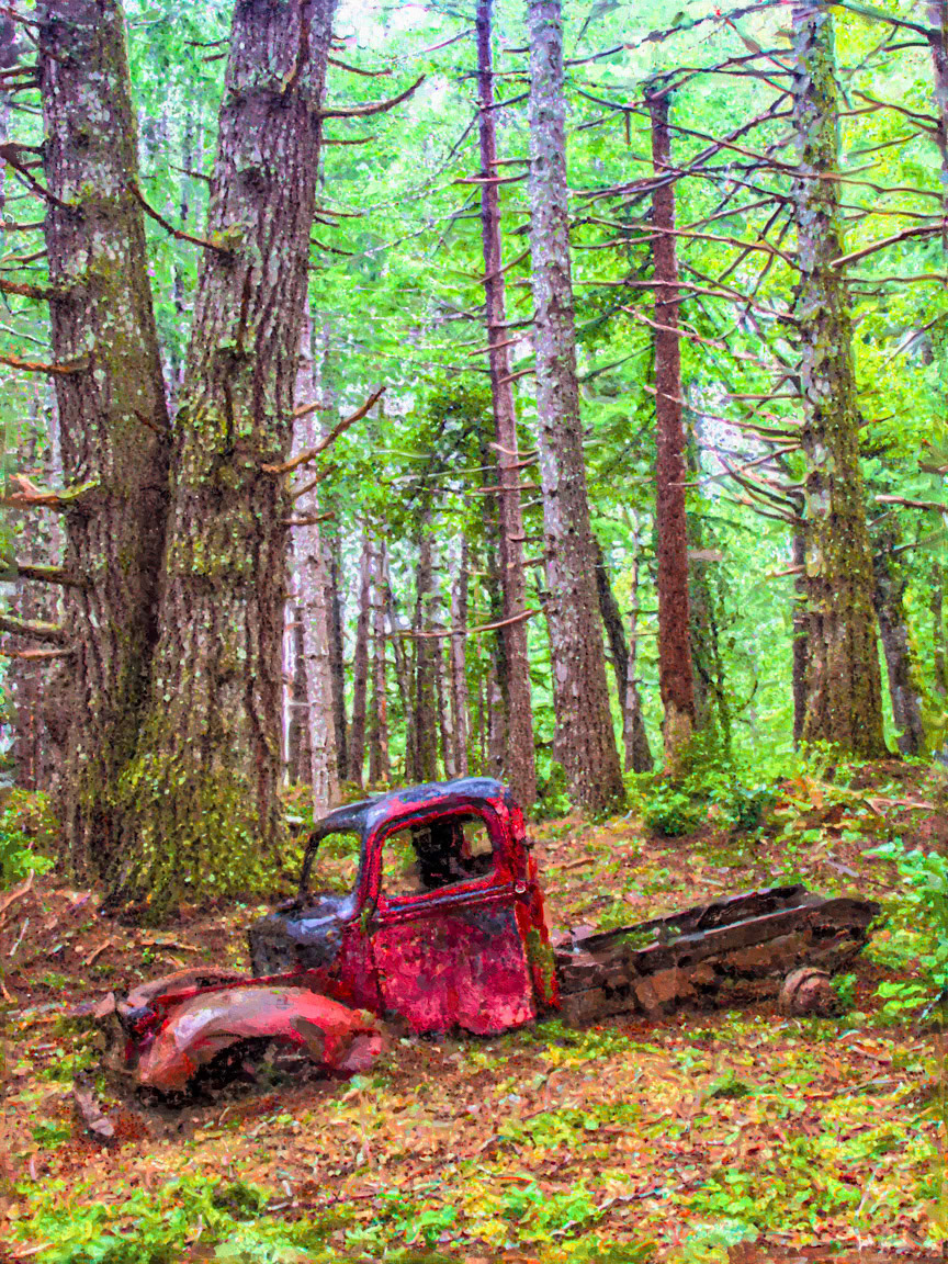 170505.Redwoods NP-062-7Sty.jpg